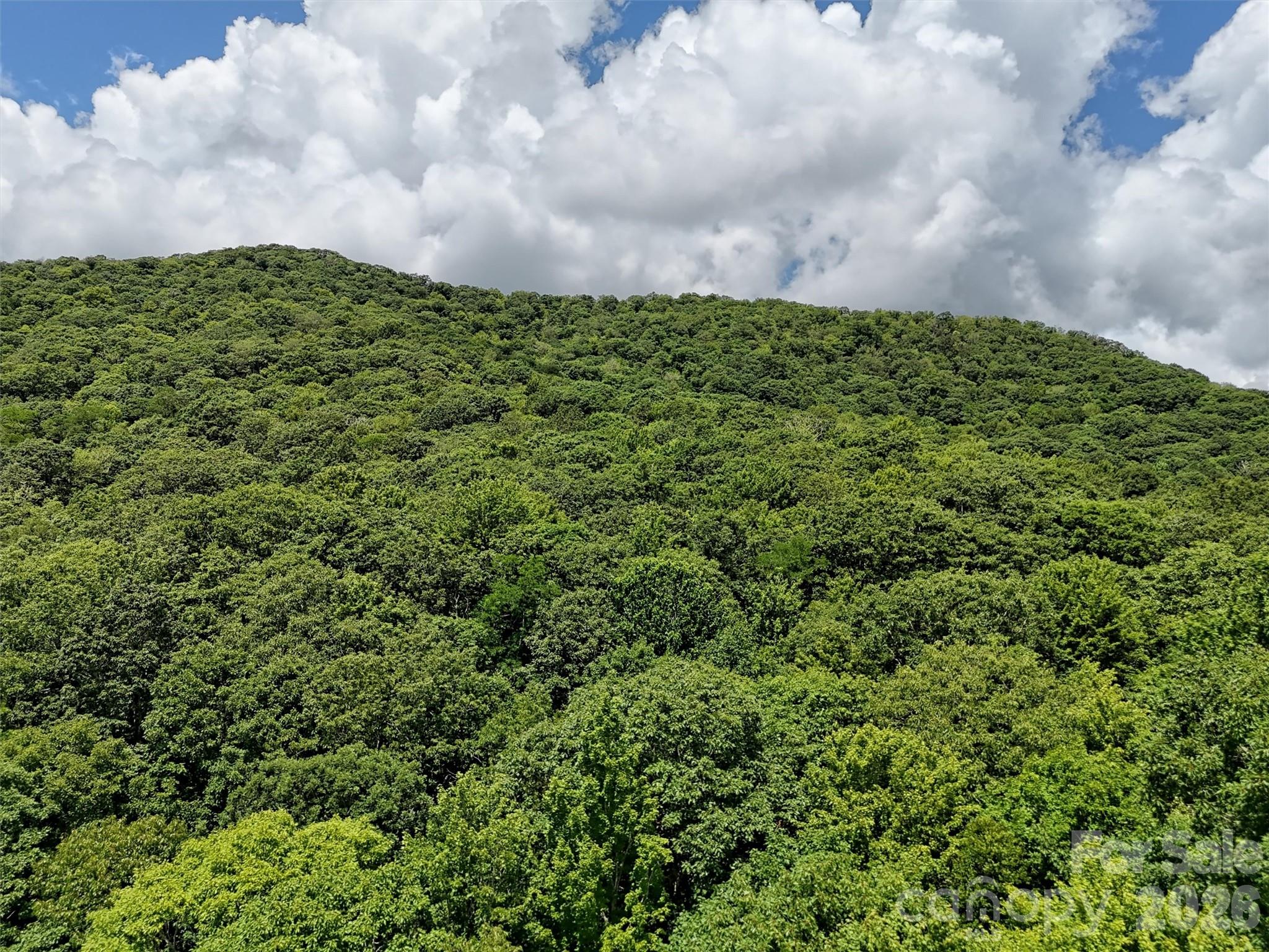Lot at Lot #67 Spring Drive, Maggie Valley, photo 12 of 13