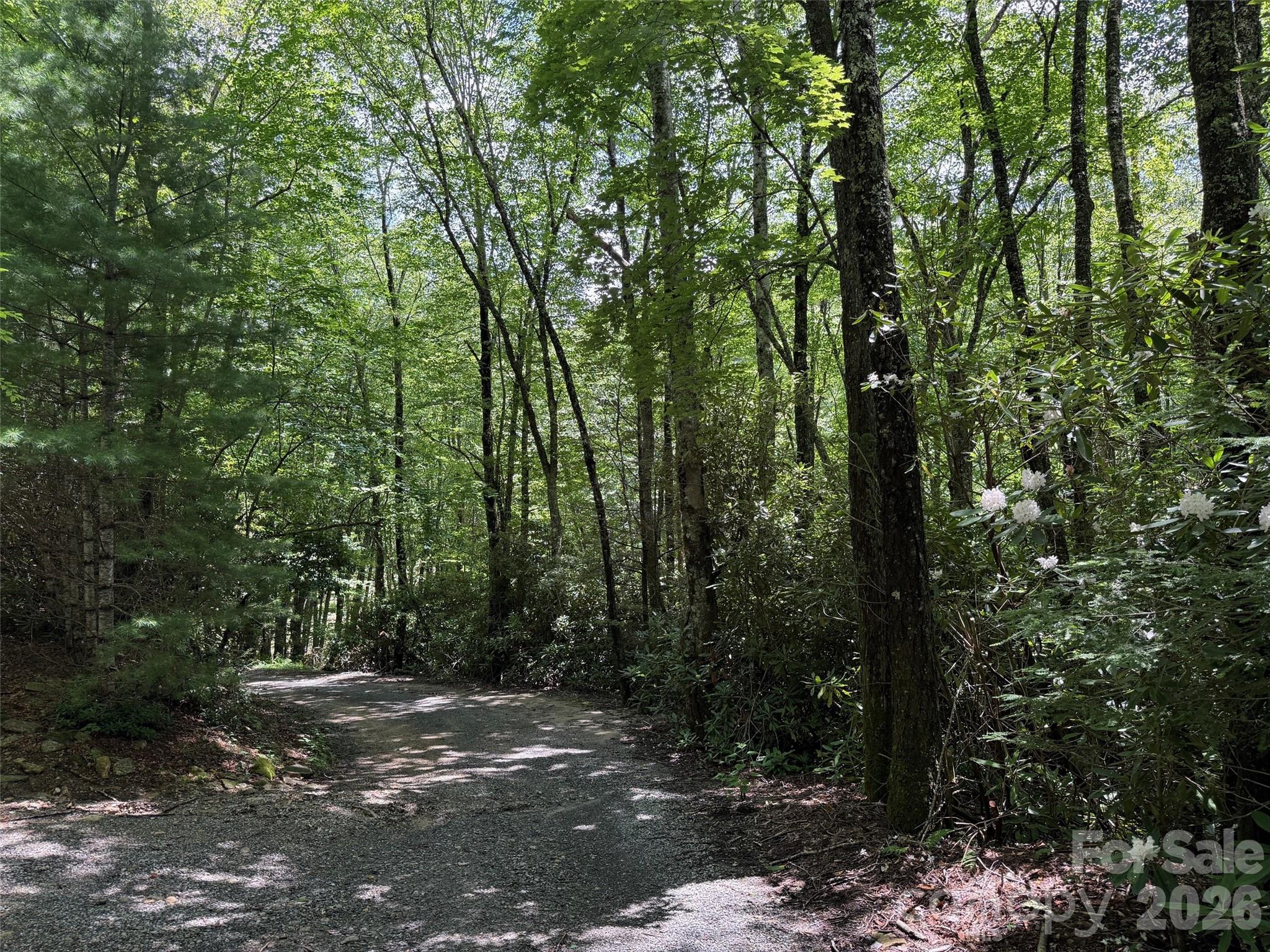 Lot at Lot #60 Yonder Trail, Maggie Valley, photo 4 of 16