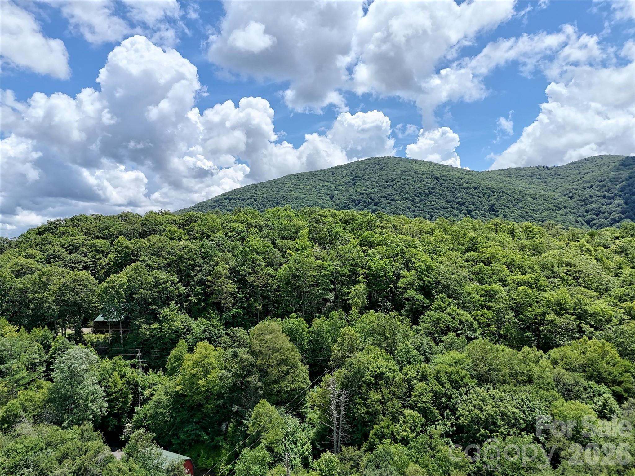 Lot at Lot #60 Yonder Trail, Maggie Valley, photo 5 of 16