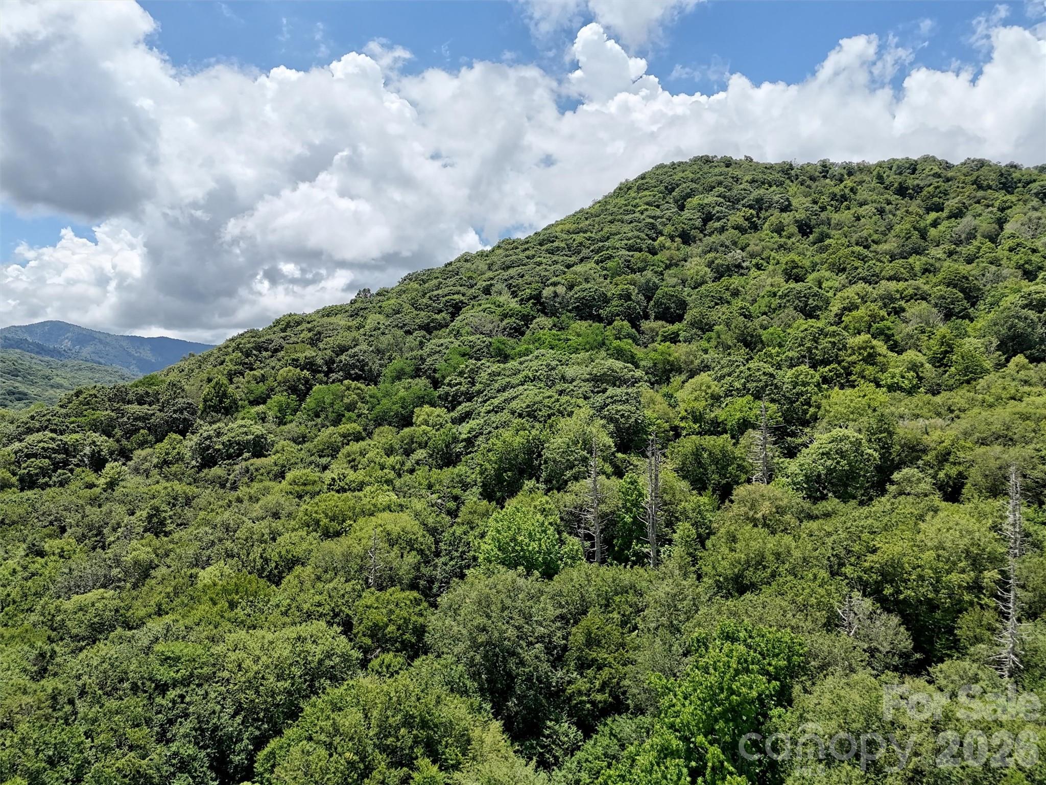 Lot at Lot #60 Yonder Trail, Maggie Valley, photo 6 of 16