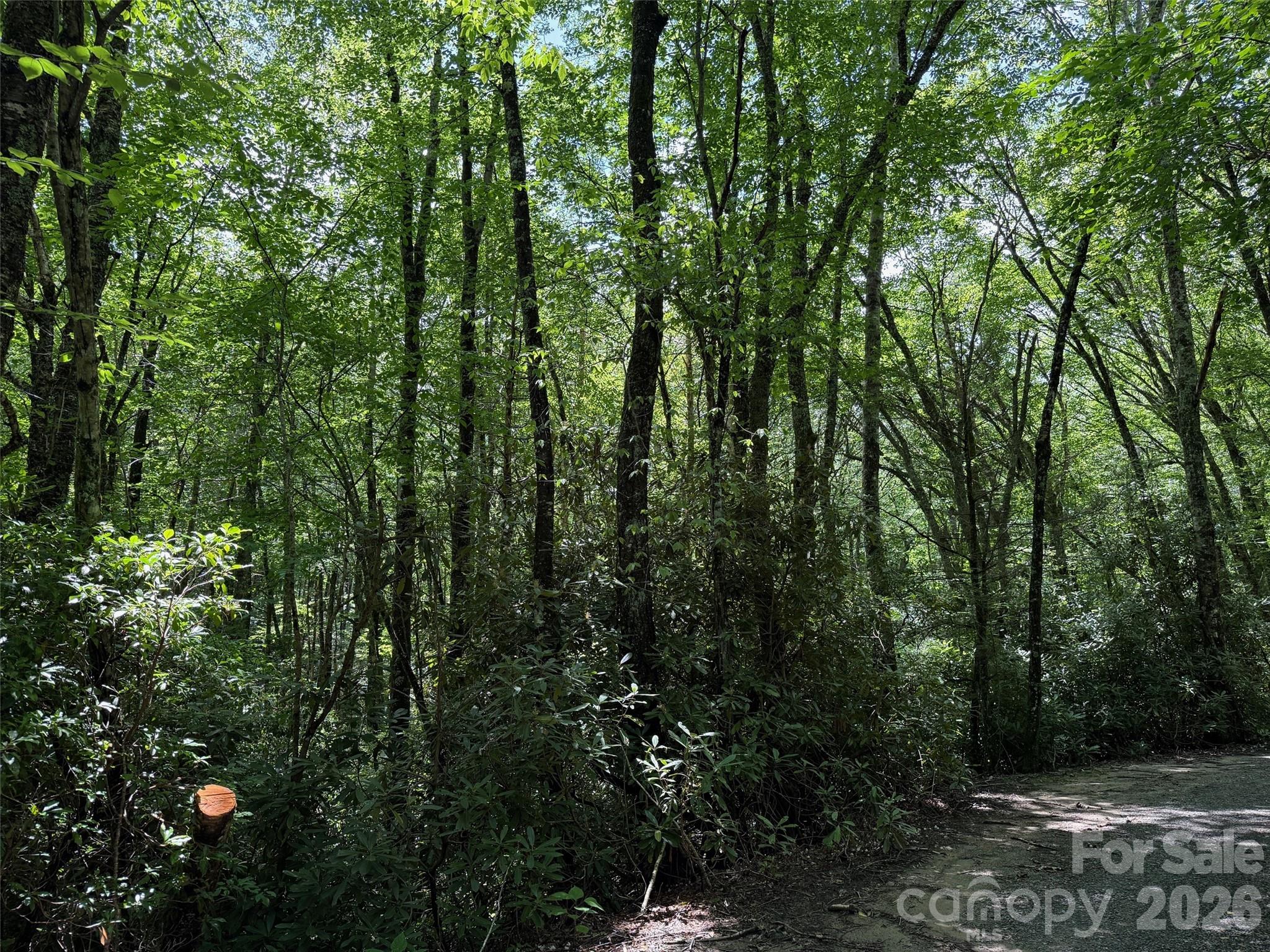 Lot at Lot #60 Yonder Trail, Maggie Valley, photo 10 of 16