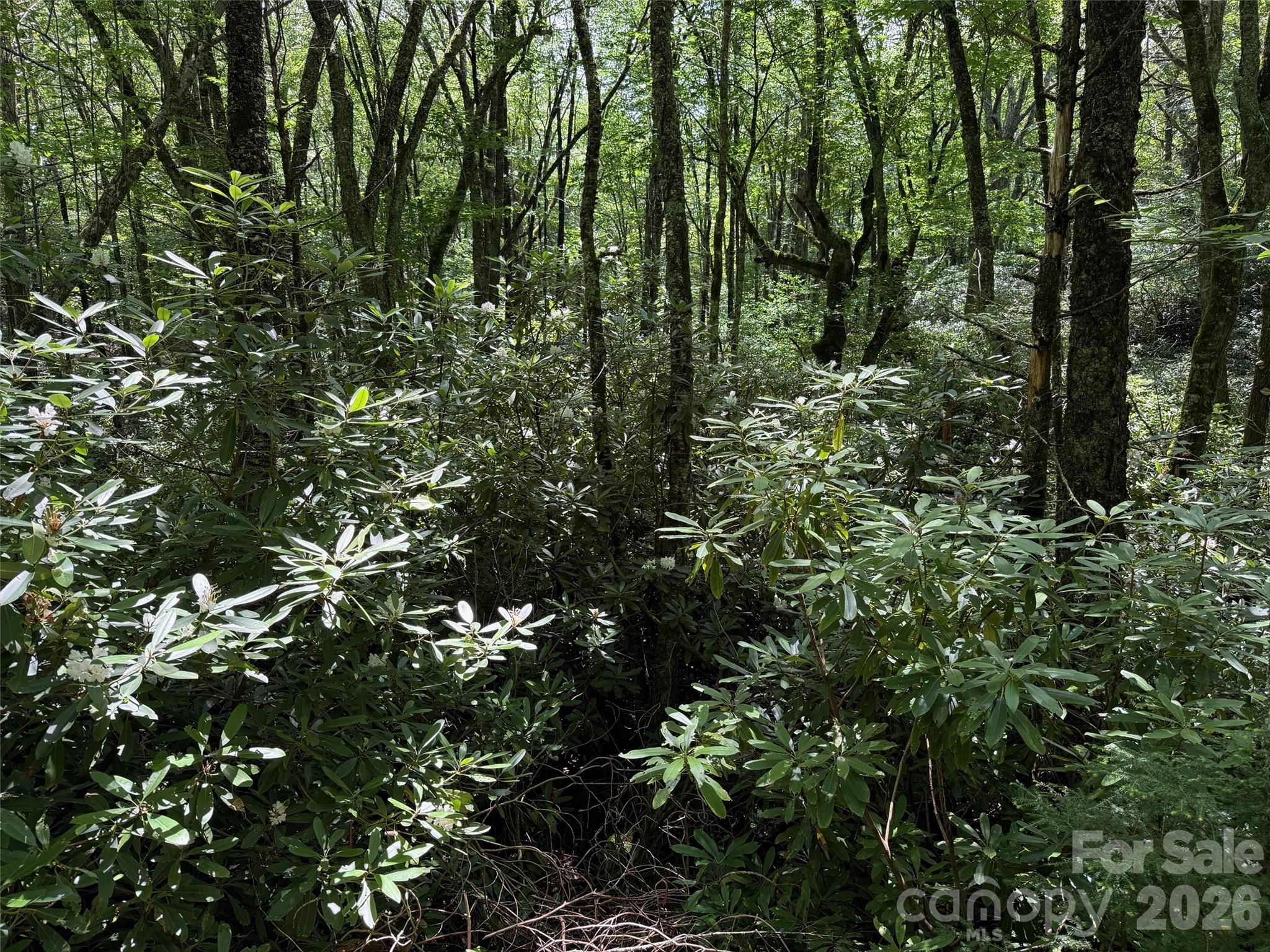 Lot at Lot #60 Yonder Trail, Maggie Valley, photo 11 of 16