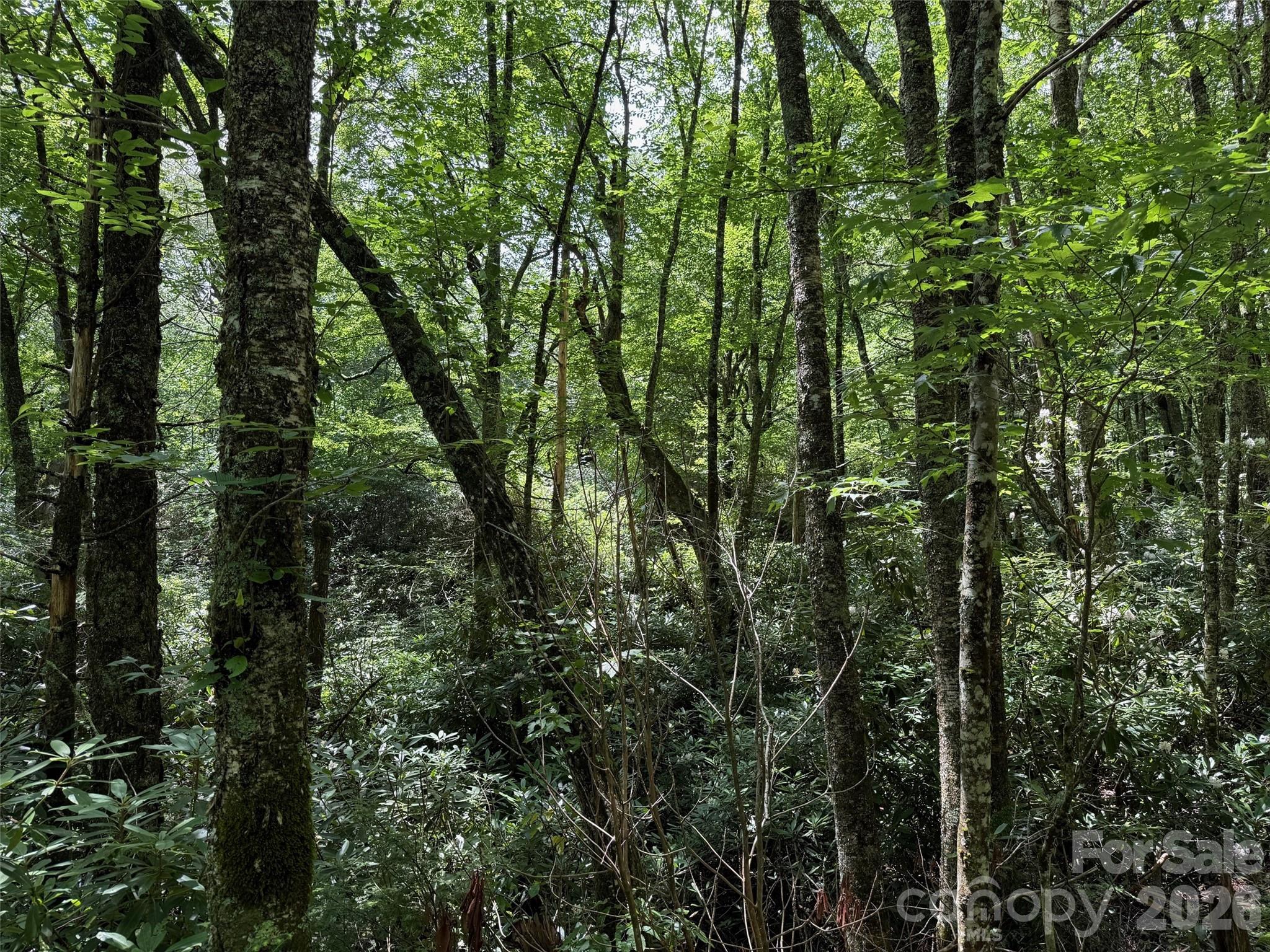 Lot at Lot #60 Yonder Trail, Maggie Valley, photo 12 of 16