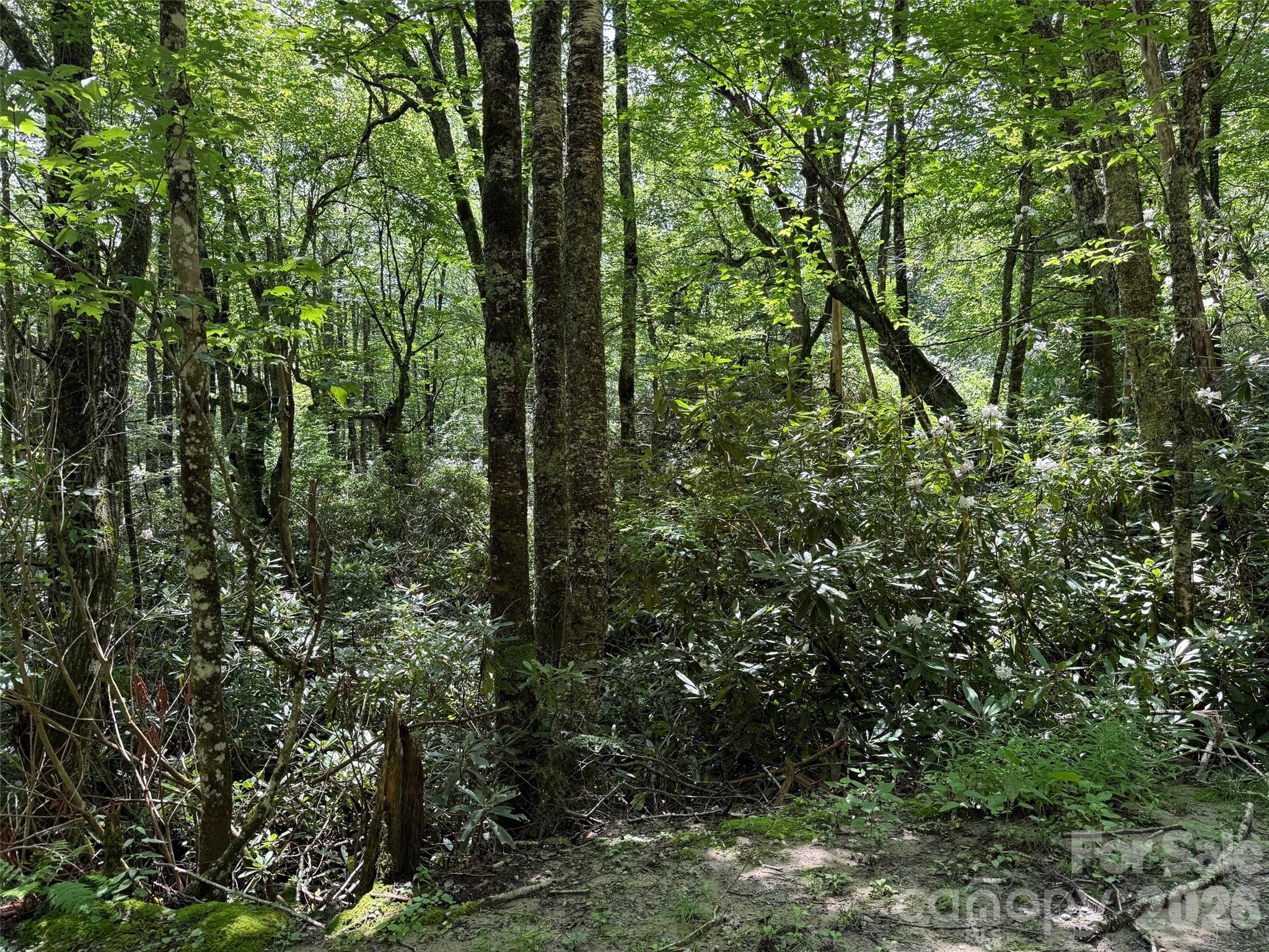 Lot at Lot #60 Yonder Trail, Maggie Valley, photo 14 of 16