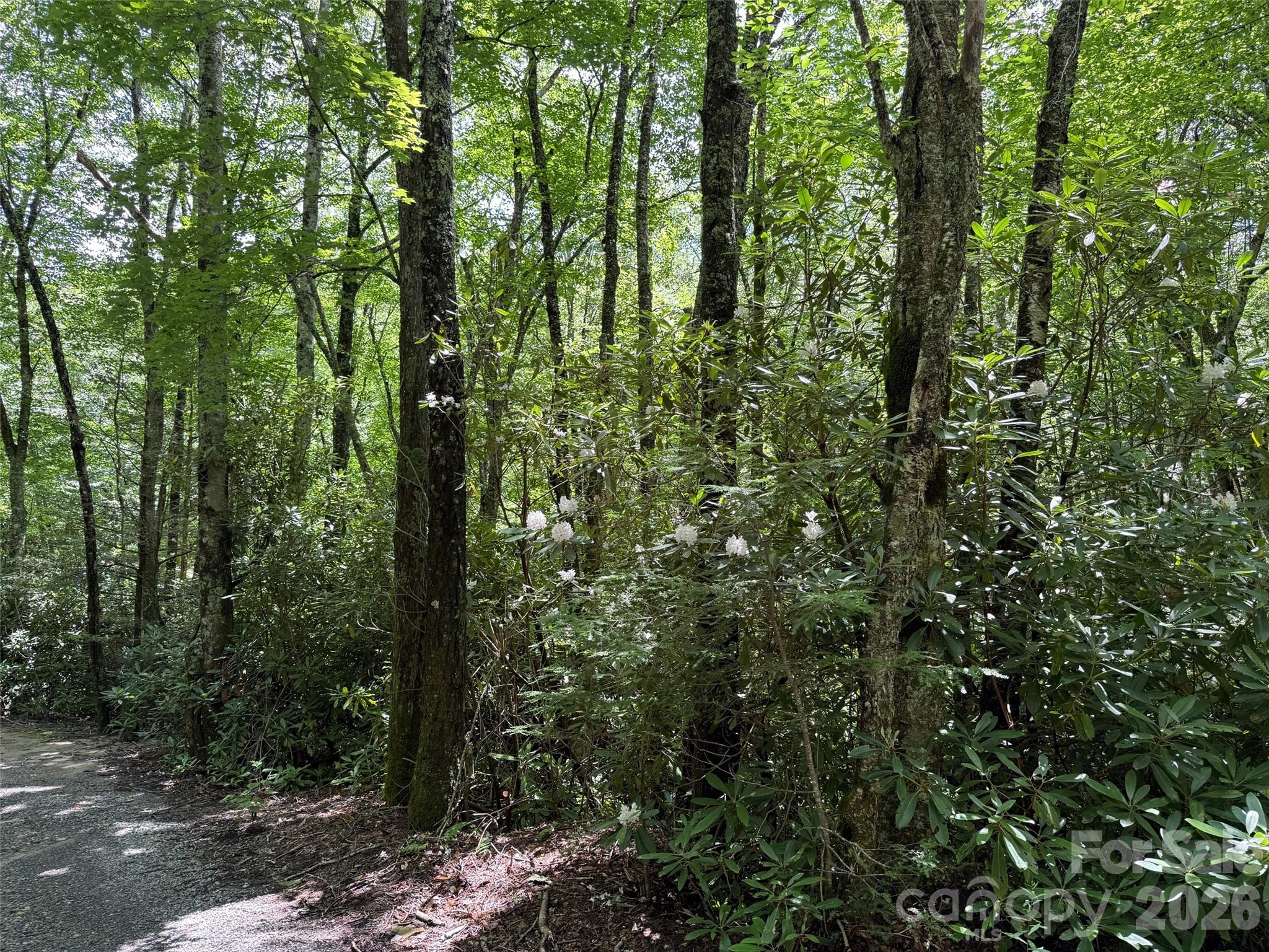 Lot at Lot #60 Yonder Trail, Maggie Valley, photo 16 of 16
