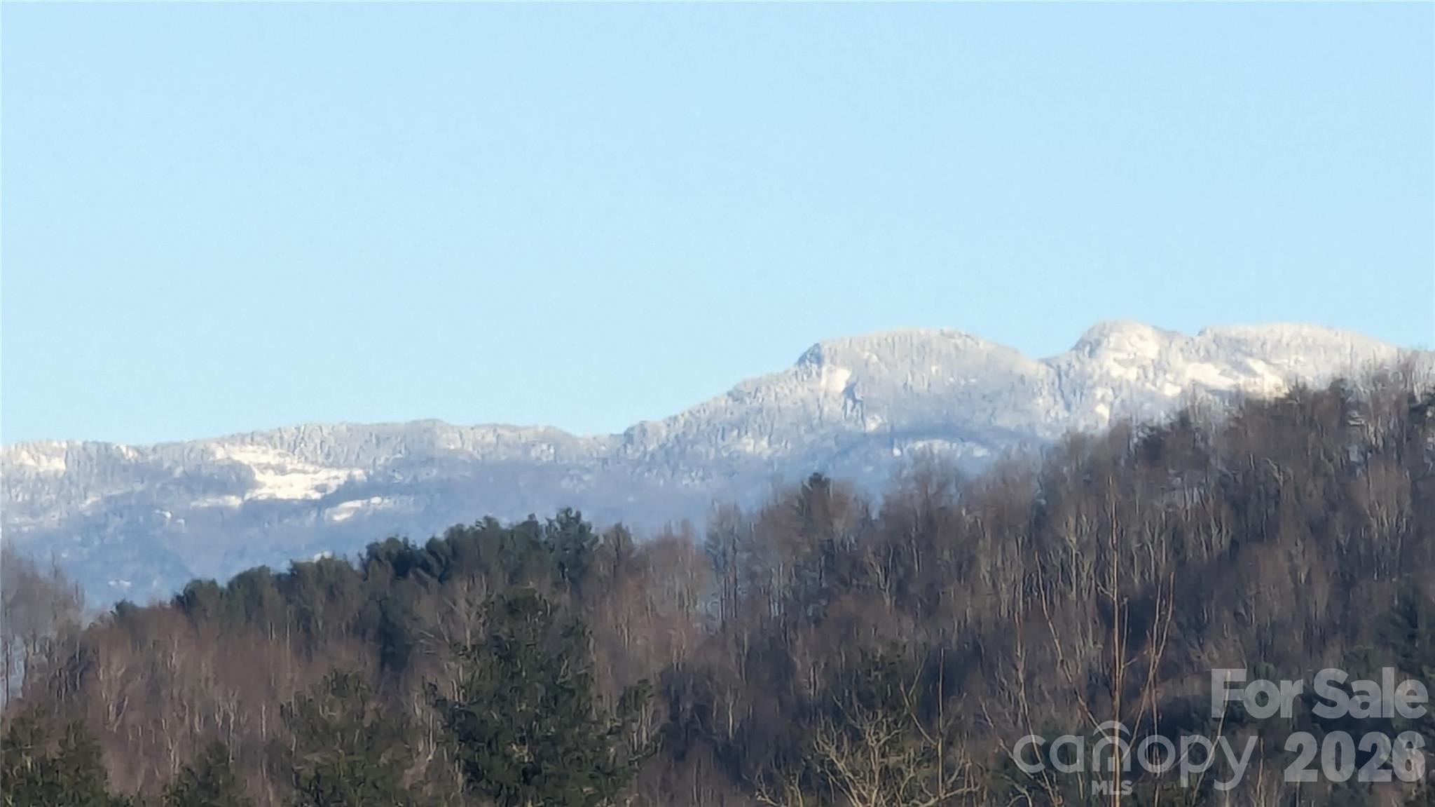 Grandfather Mountain view - 1510 High Valley Way, Lenoir