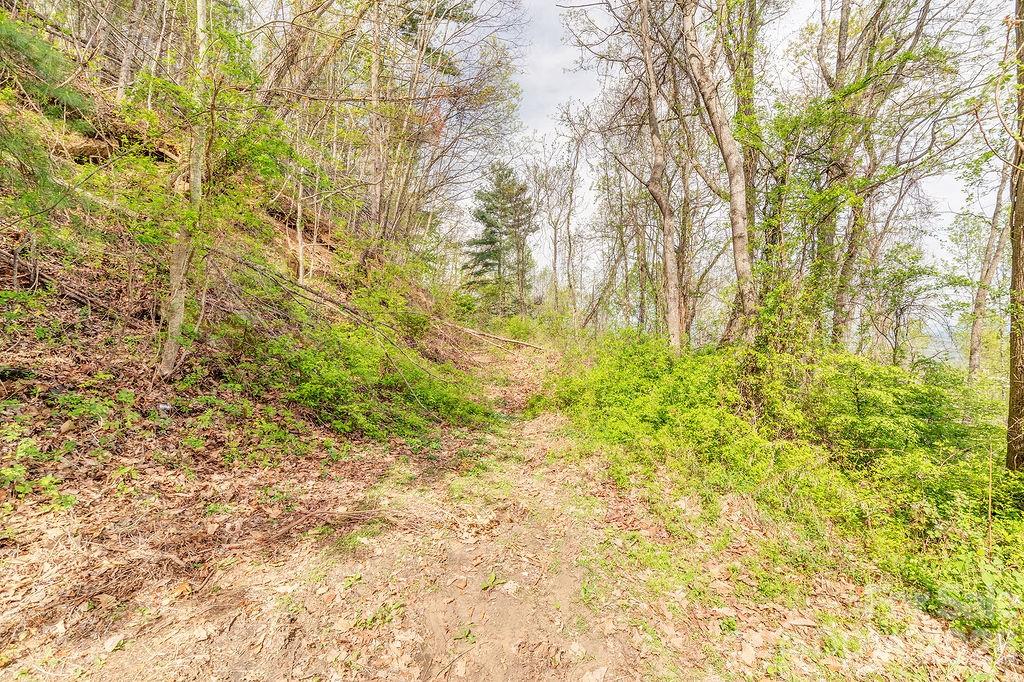 Roadbed leads you to the housepad - 99999 Leisure Mountain Road, Asheville