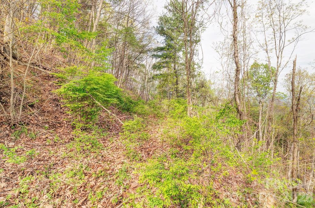 Light clearing required - 99999 Leisure Mountain Road, Asheville