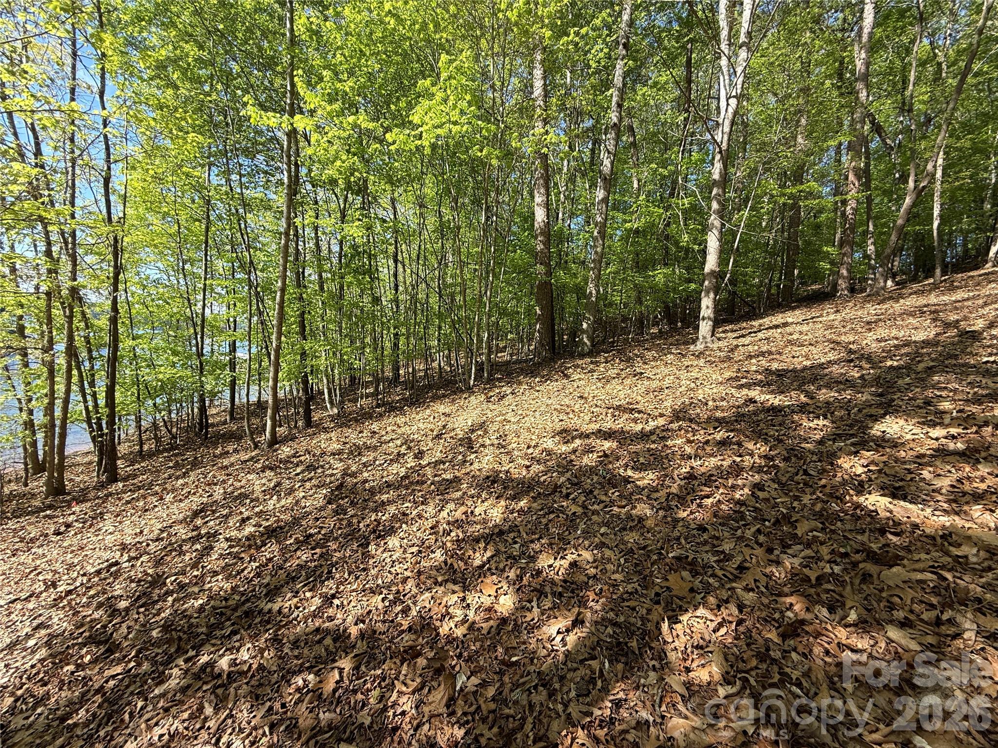 Lot at 163 High Lake Drive, Statesville, photo 4 of 11