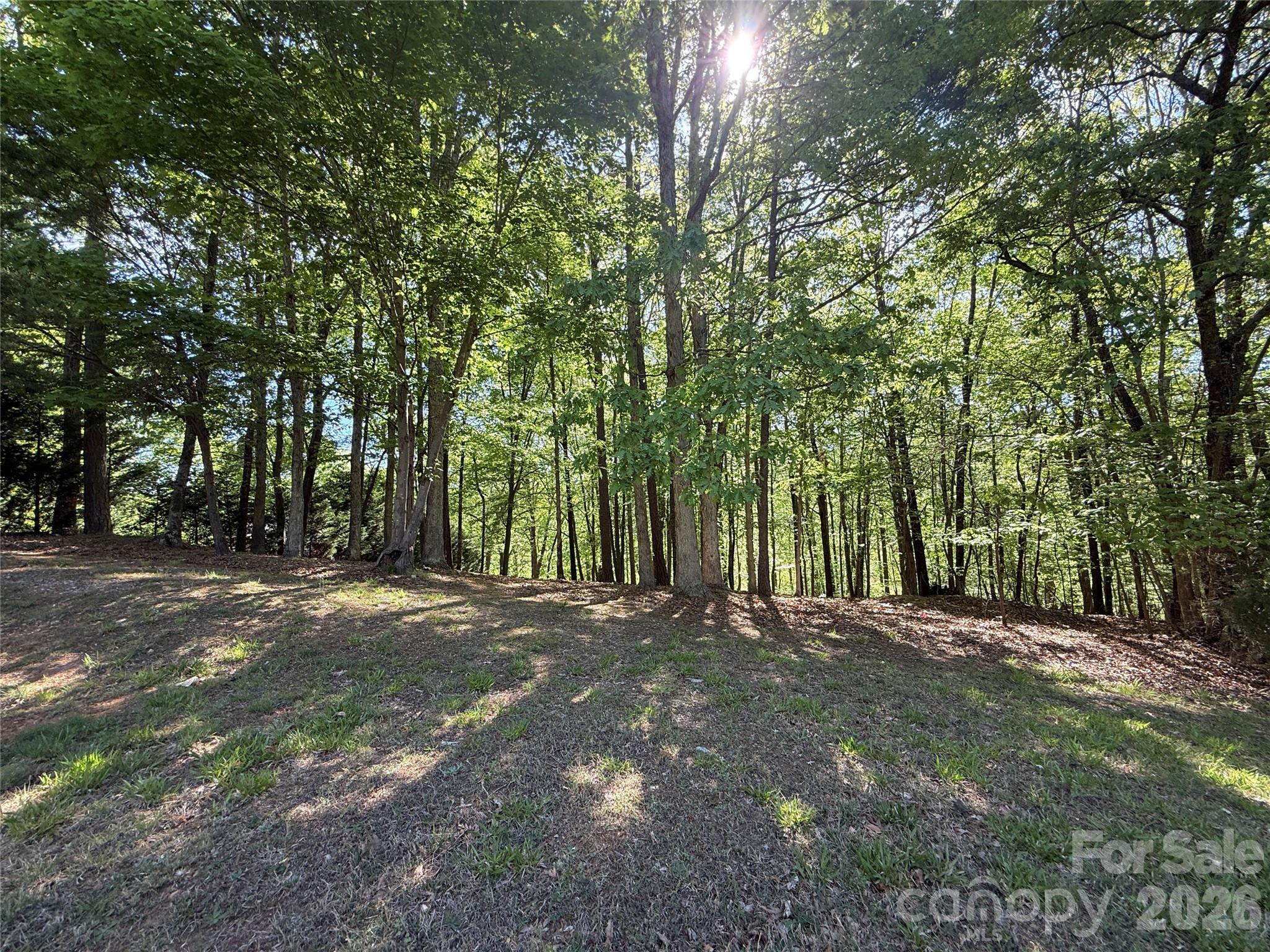 Lot at 163 High Lake Drive, Statesville, photo 6 of 11