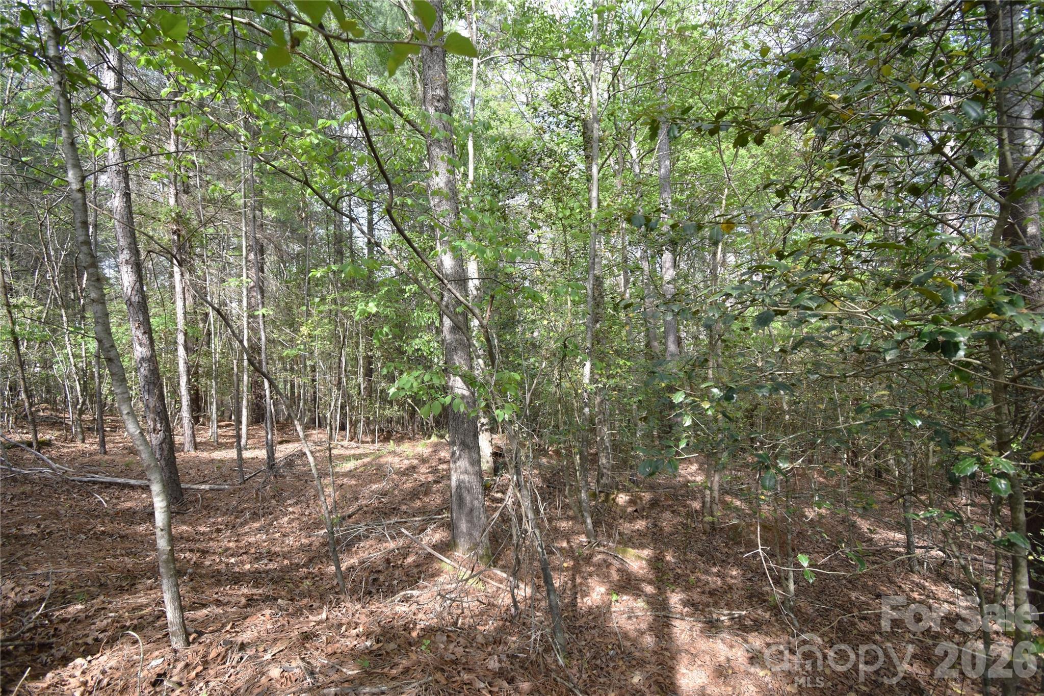 Lot at 5417 Bridgewater Drive, Granite Falls, photo 30 of 33