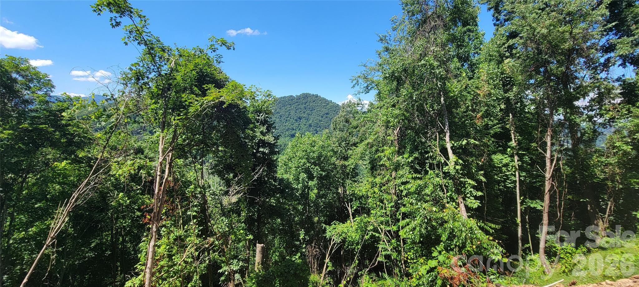 Elevation 3100 - 3500 feet for cooler temps for Lots 35 - 37 - 37 Destination Drive, Waynesville