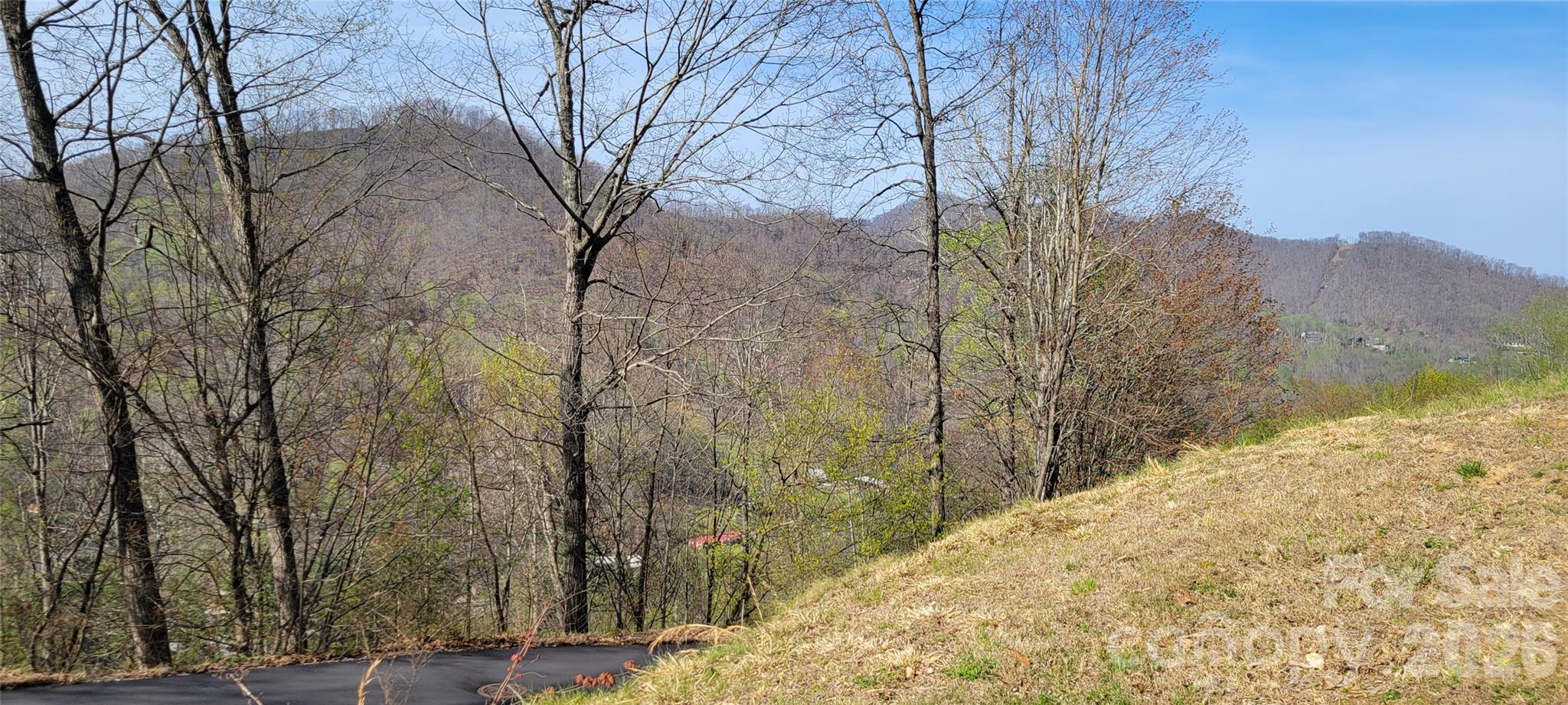 Lot at 30 Destination Drive, Waynesville, photo 4 of 7