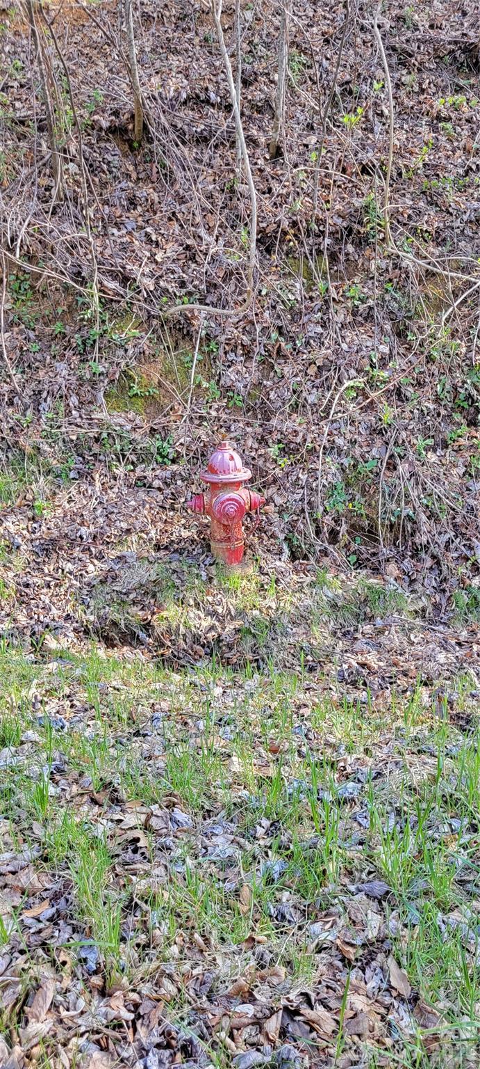 Subd fire hydrant - 32 Destination Drive, Waynesville
