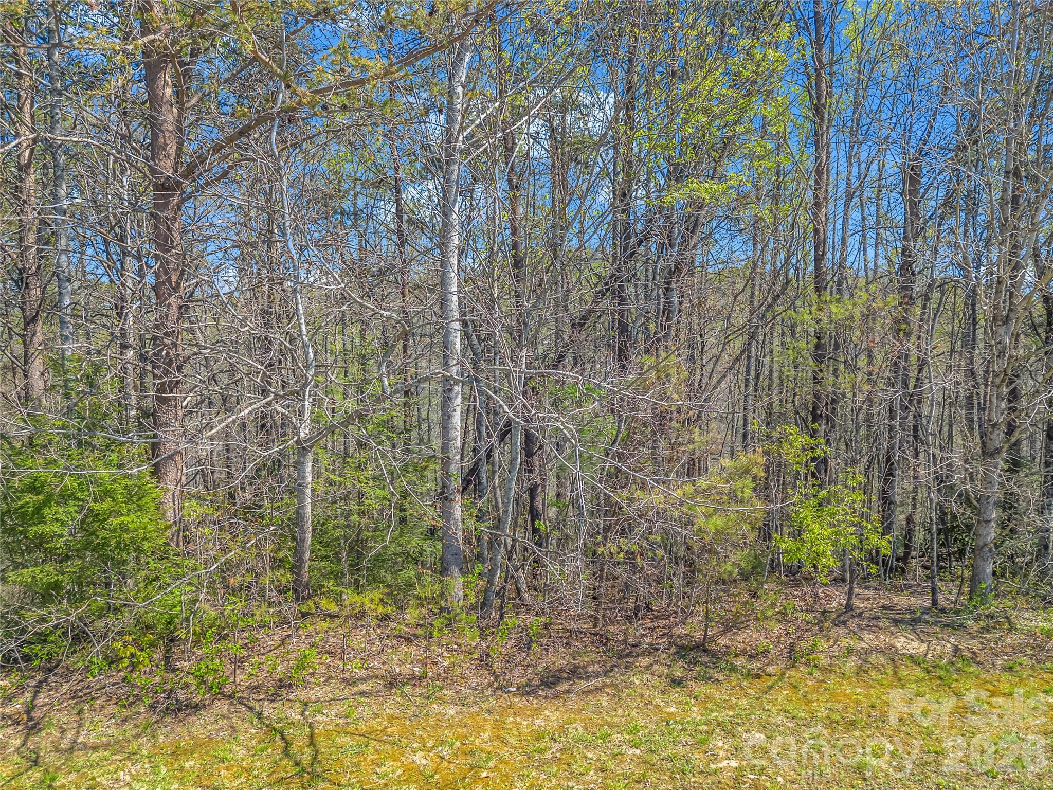 Lot at 83 Sunny Morning Court, Hendersonville, photo 29 of 43