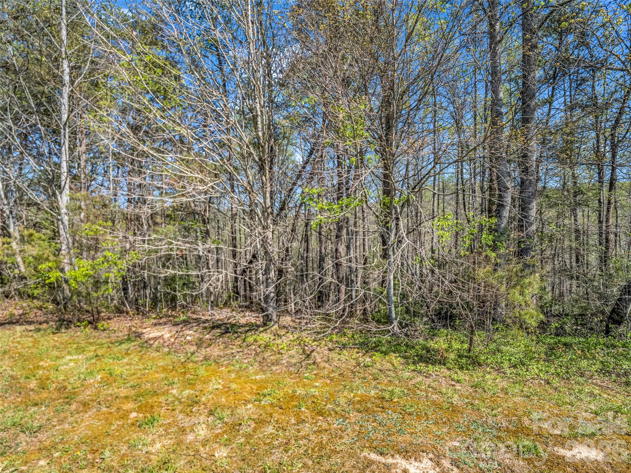 Lot at 83 Sunny Morning Court, Hendersonville, photo 30 of 43