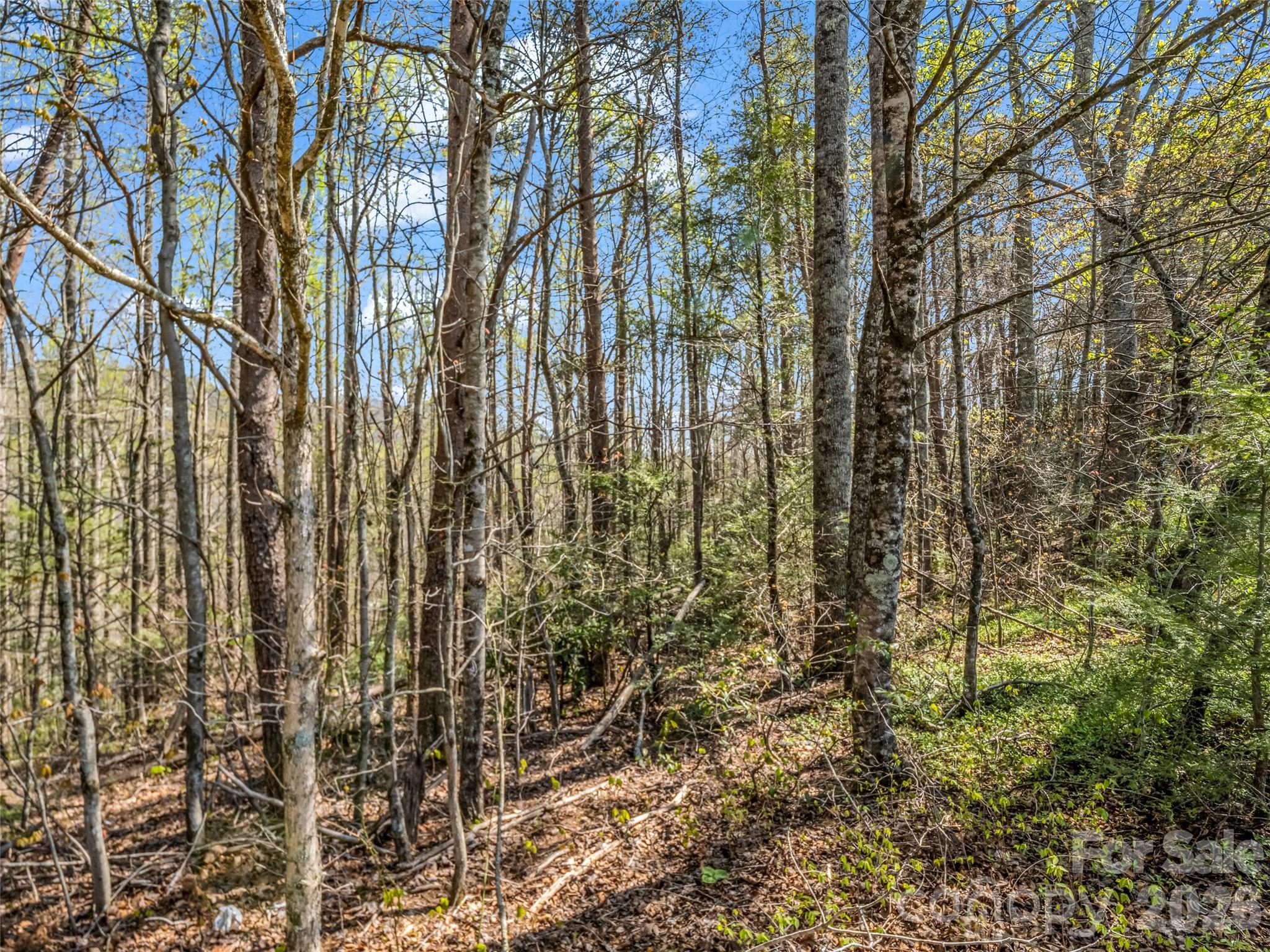 Lot at 83 Sunny Morning Court, Hendersonville, photo 32 of 43