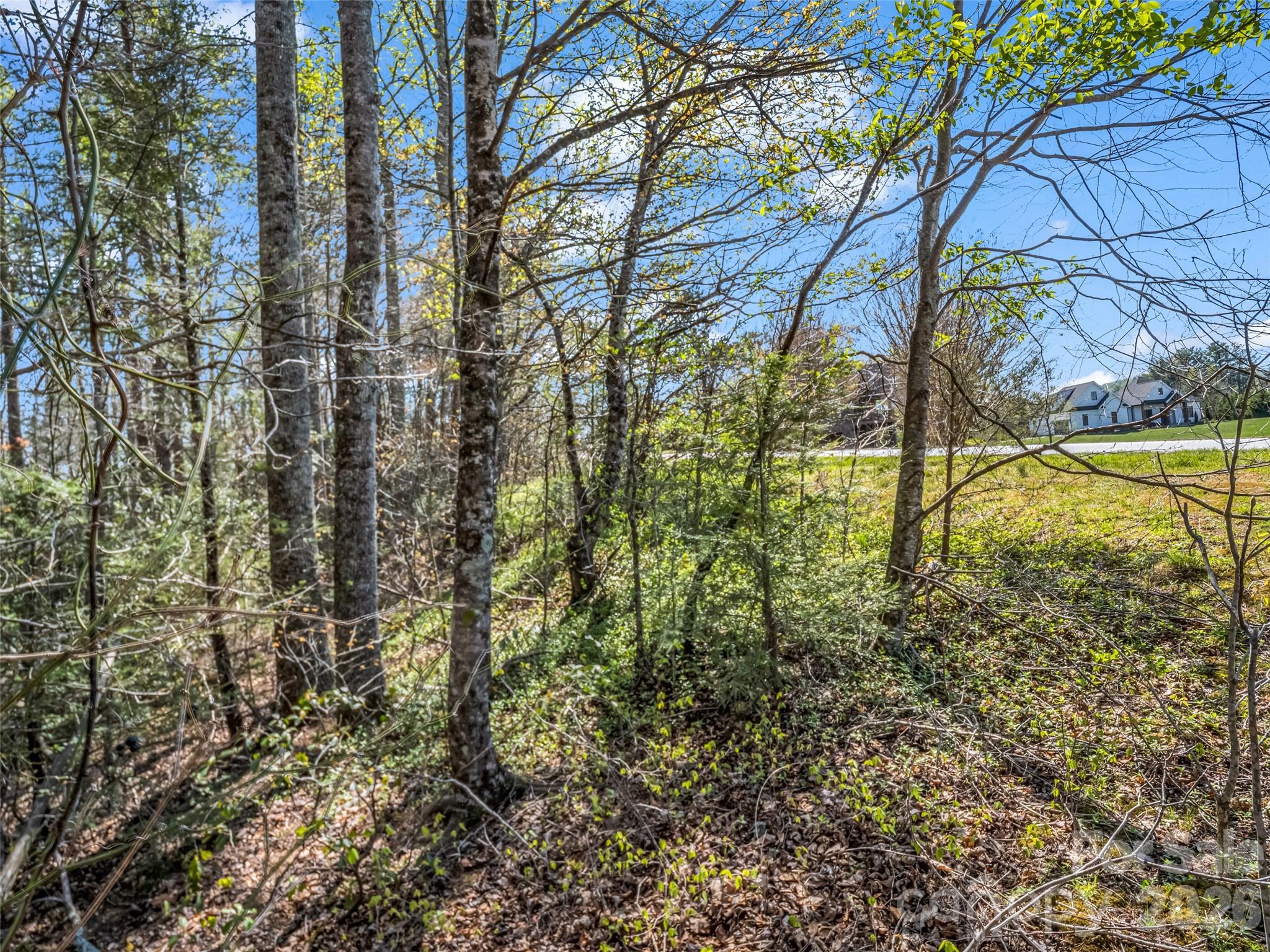 Lot at 83 Sunny Morning Court, Hendersonville, photo 34 of 43