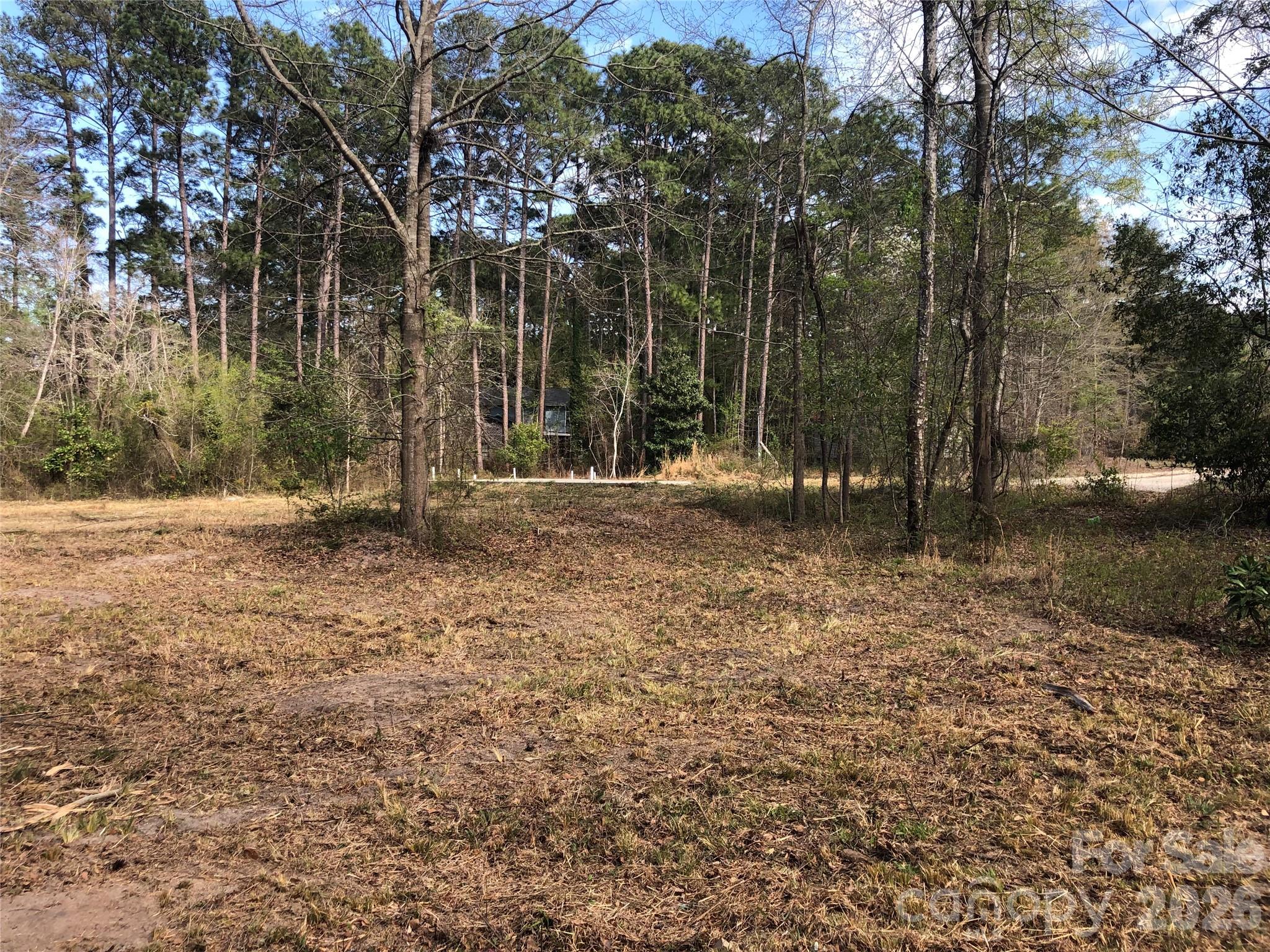 Lot at 0000 Williams Circle, West Columbia, photo 4 of 18