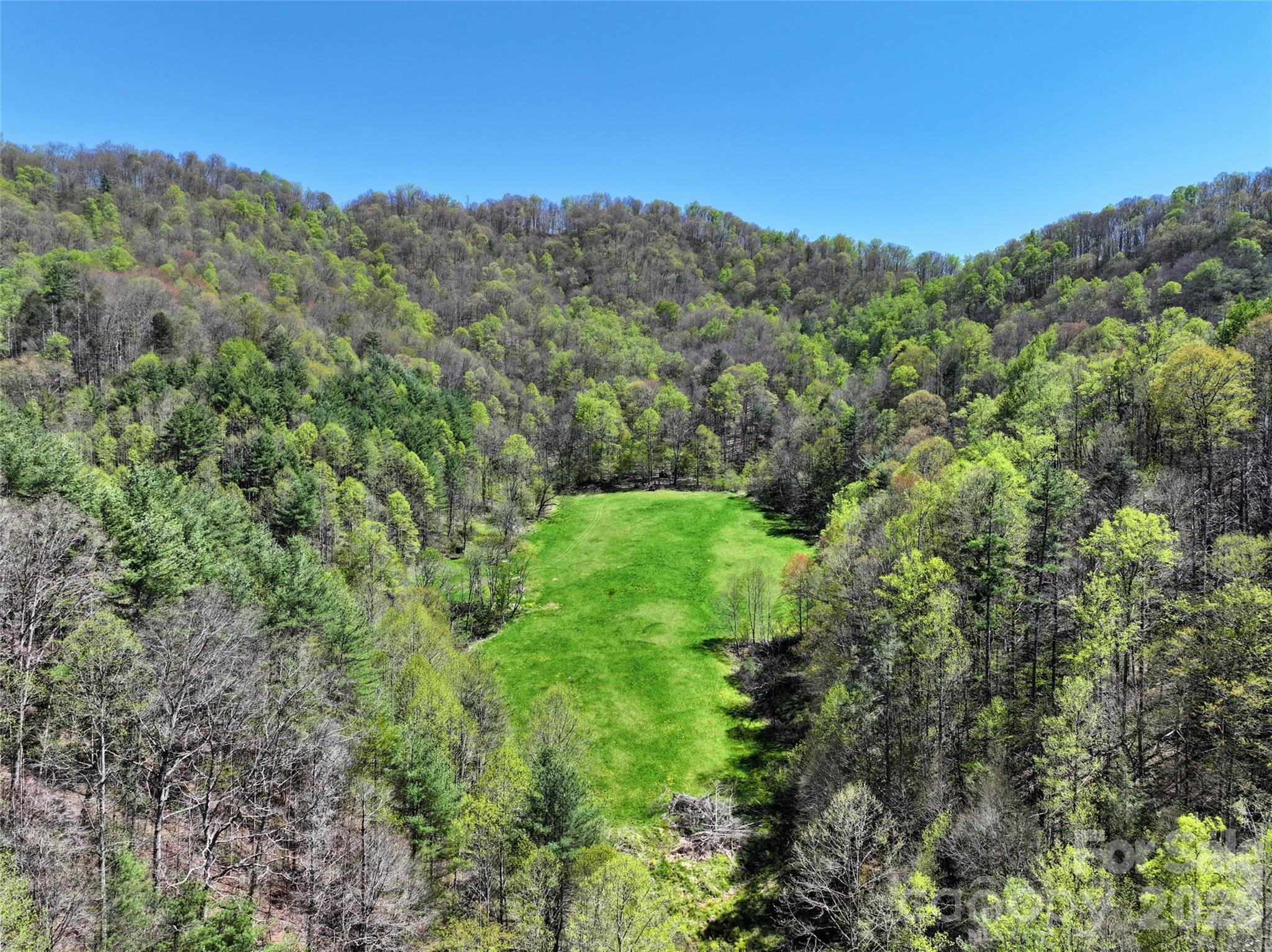 The hidden mountain meadow -- an ideal location for your dream home - 2180 Pigeon Roost Road, Green Mountain