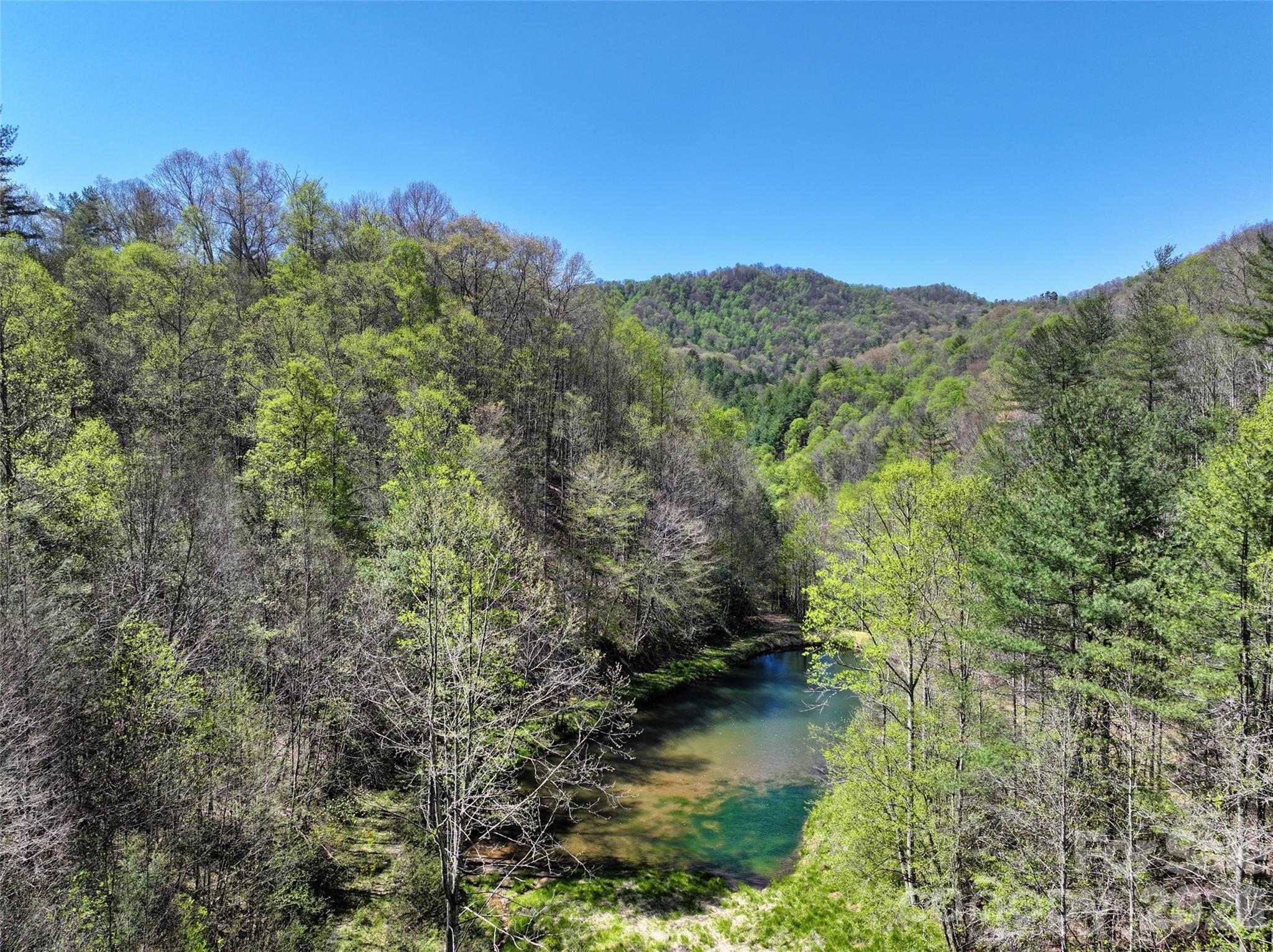 Looking down from the hidden meadow to the spring-fed pond - 2180 Pigeon Roost Road, Green Mountain