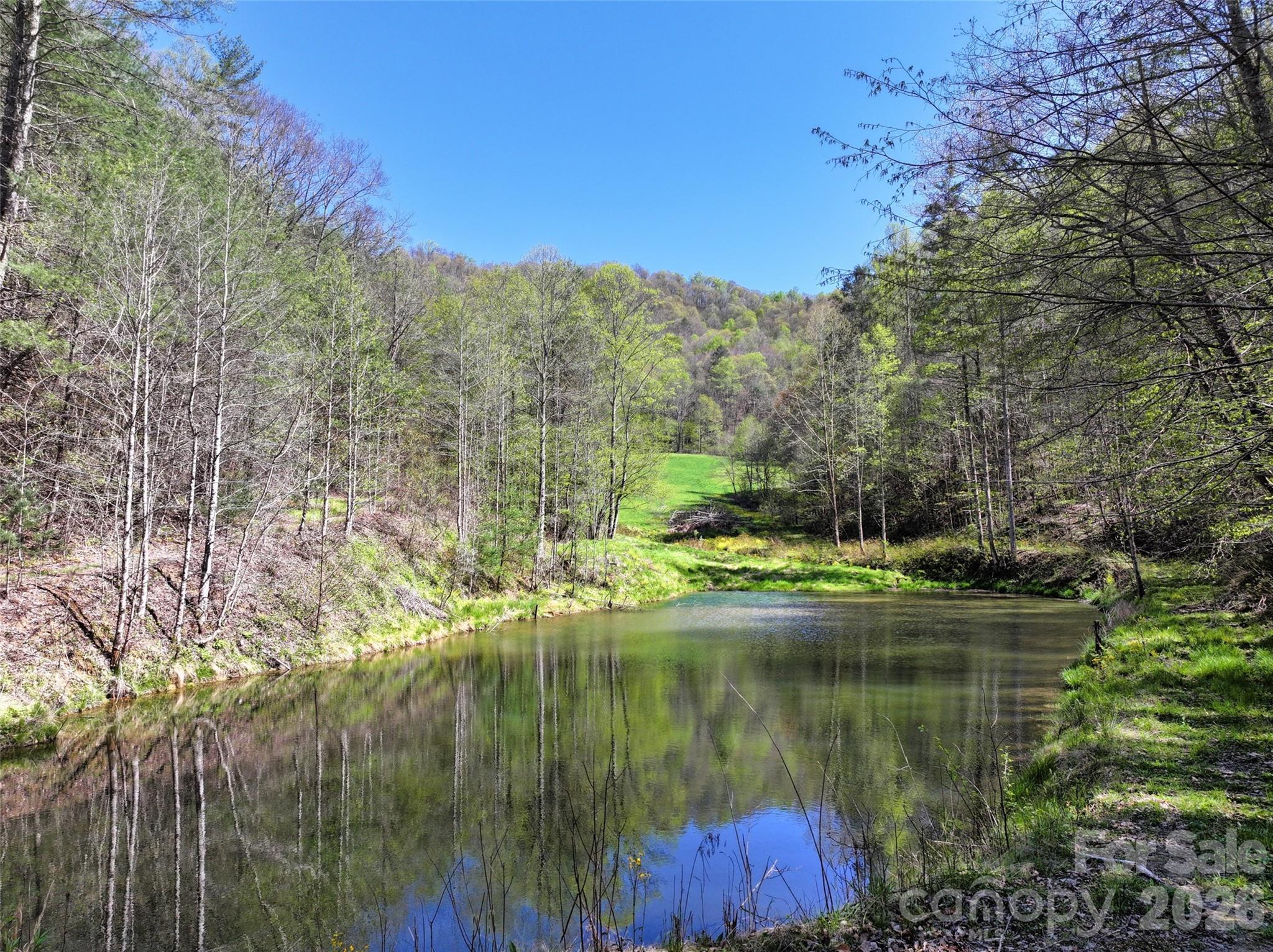 Spring-fed pond looking up to hidden meadow - 2180 Pigeon Roost Road, Green Mountain