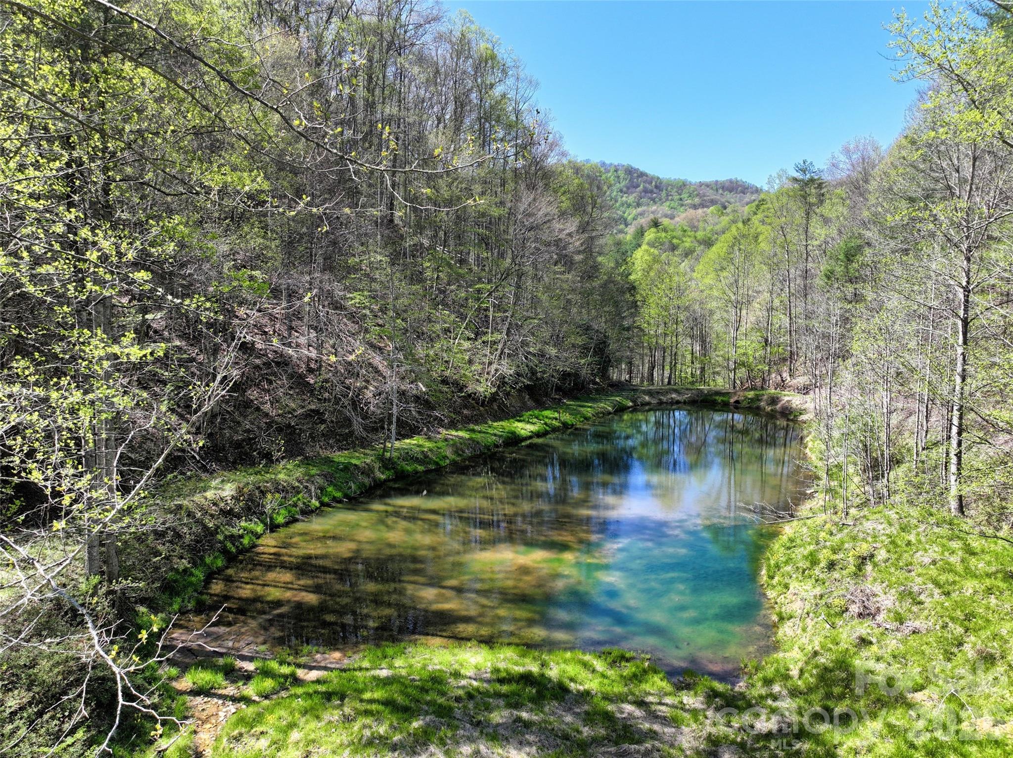 Another angle on this amazing pond - 2180 Pigeon Roost Road, Green Mountain