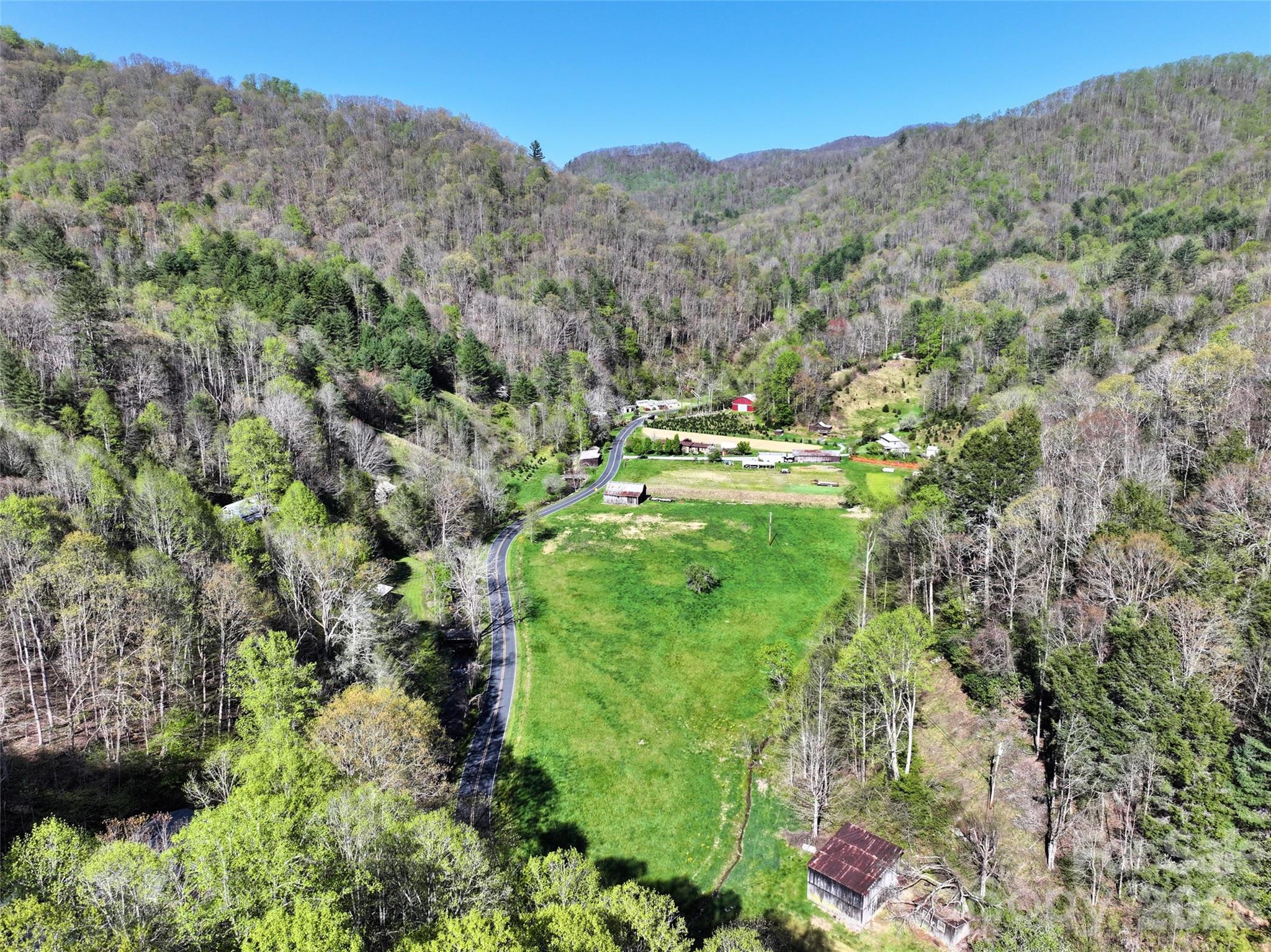 Another angle of the flat horse pasture with the old apple tree. - 2180 Pigeon Roost Road, Green Mountain