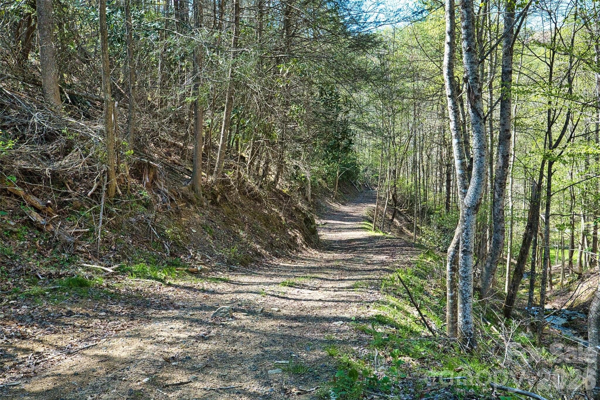 Wide road to the hidden meadow - 2180 Pigeon Roost Road, Green Mountain