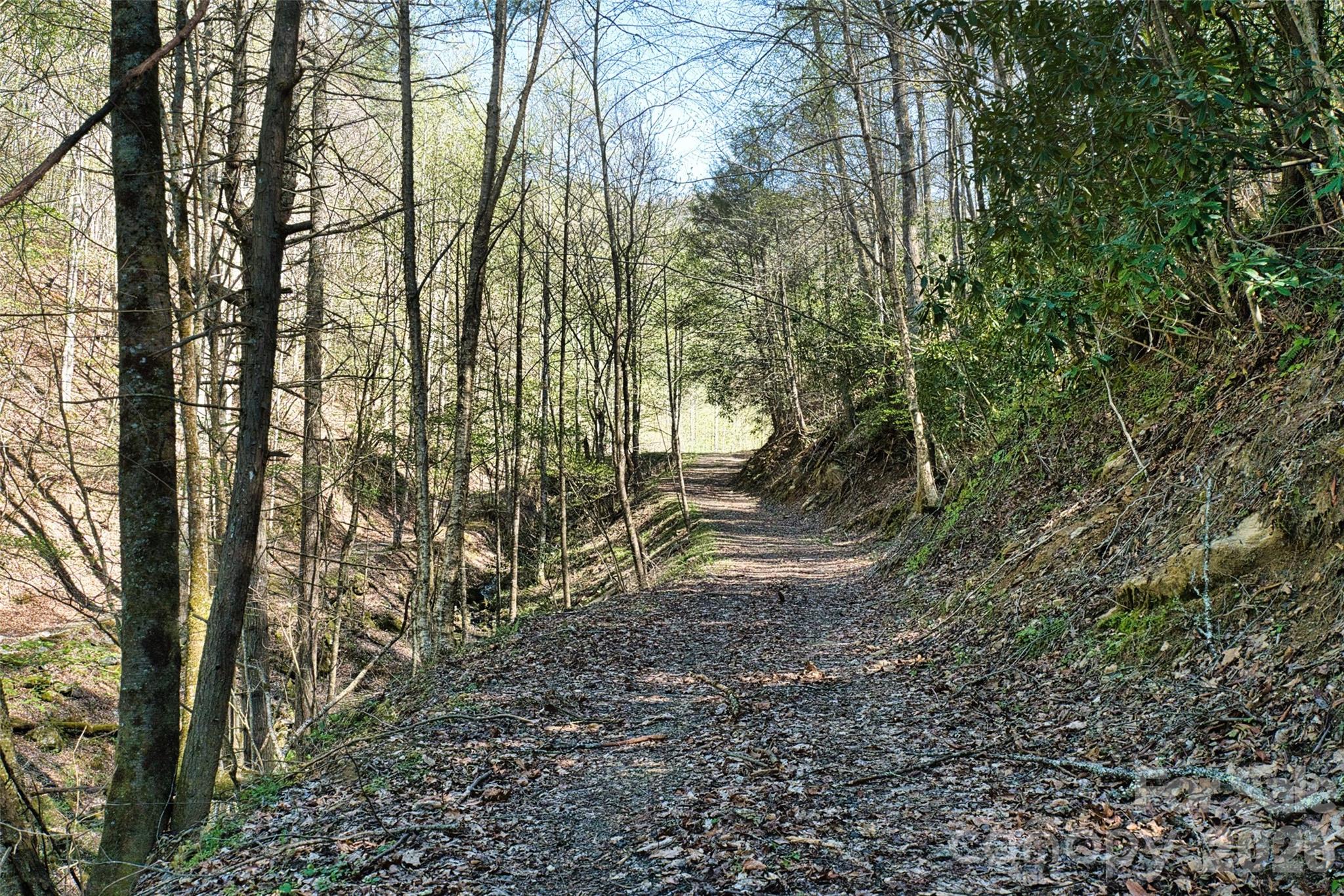 Looking up the wide road to the pond and hidden meadow - 2180 Pigeon Roost Road, Green Mountain