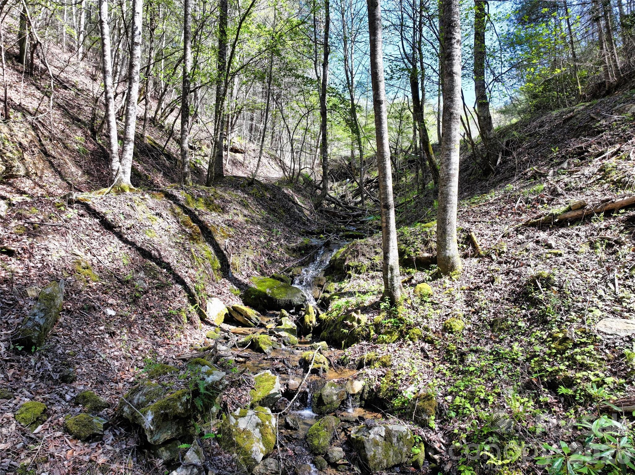 Outflow from the springfed pond - 2180 Pigeon Roost Road, Green Mountain