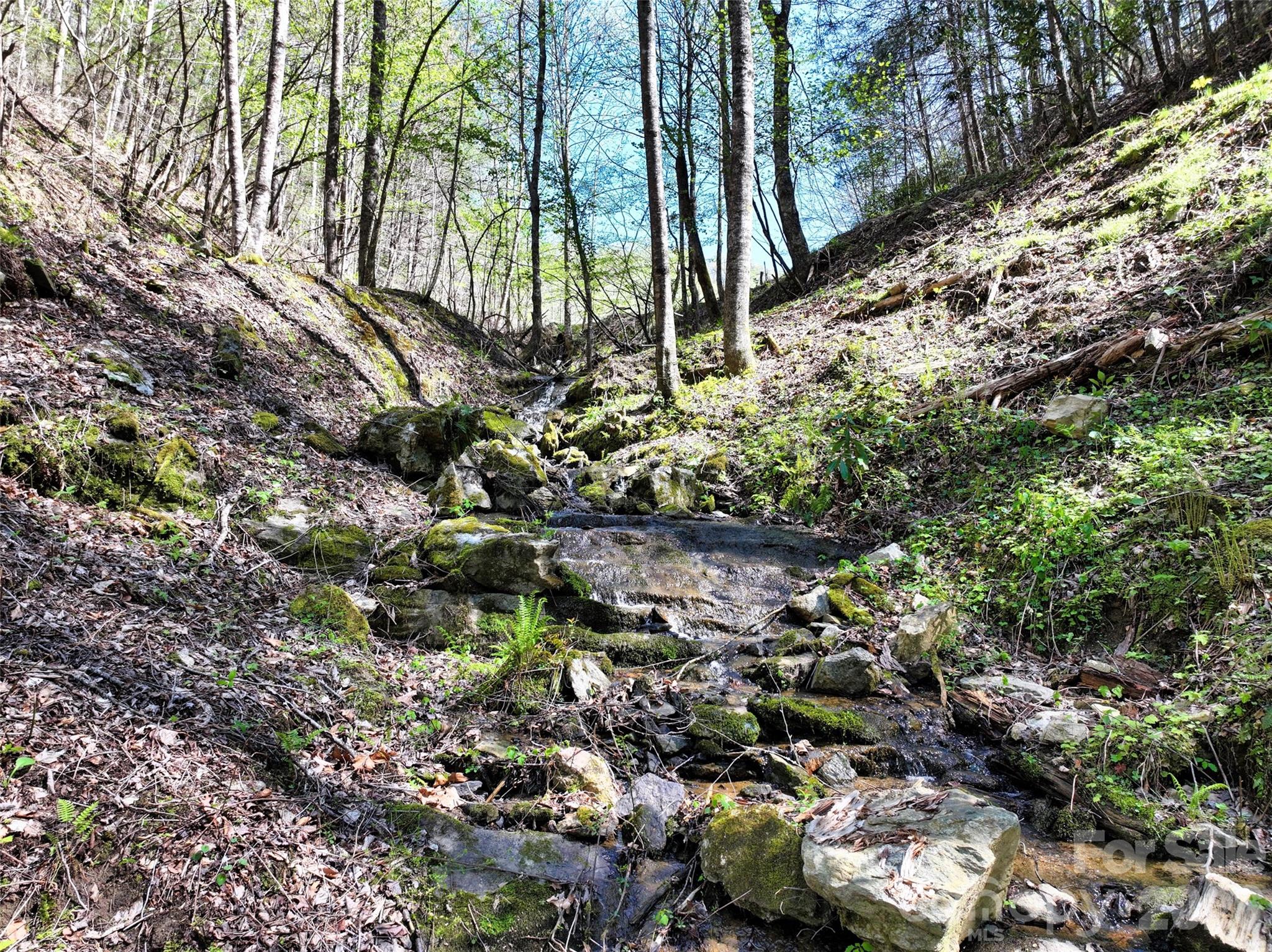 Outflow from the spring-fed pond - 2180 Pigeon Roost Road, Green Mountain