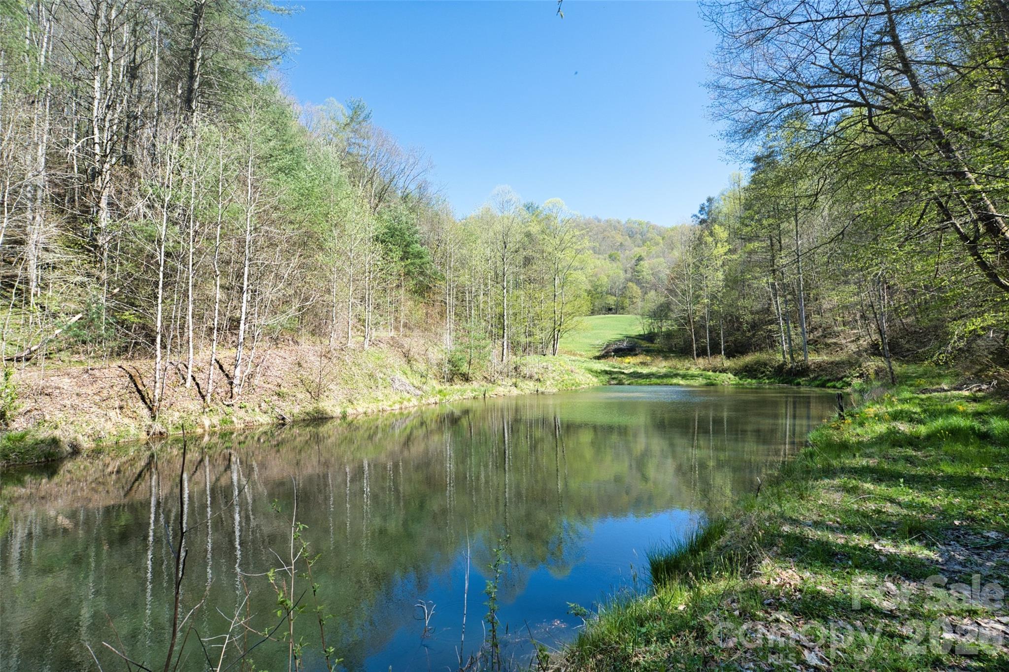 Another view of the large spring-fed pond -- so clean and cold! - 2180 Pigeon Roost Road, Green Mountain