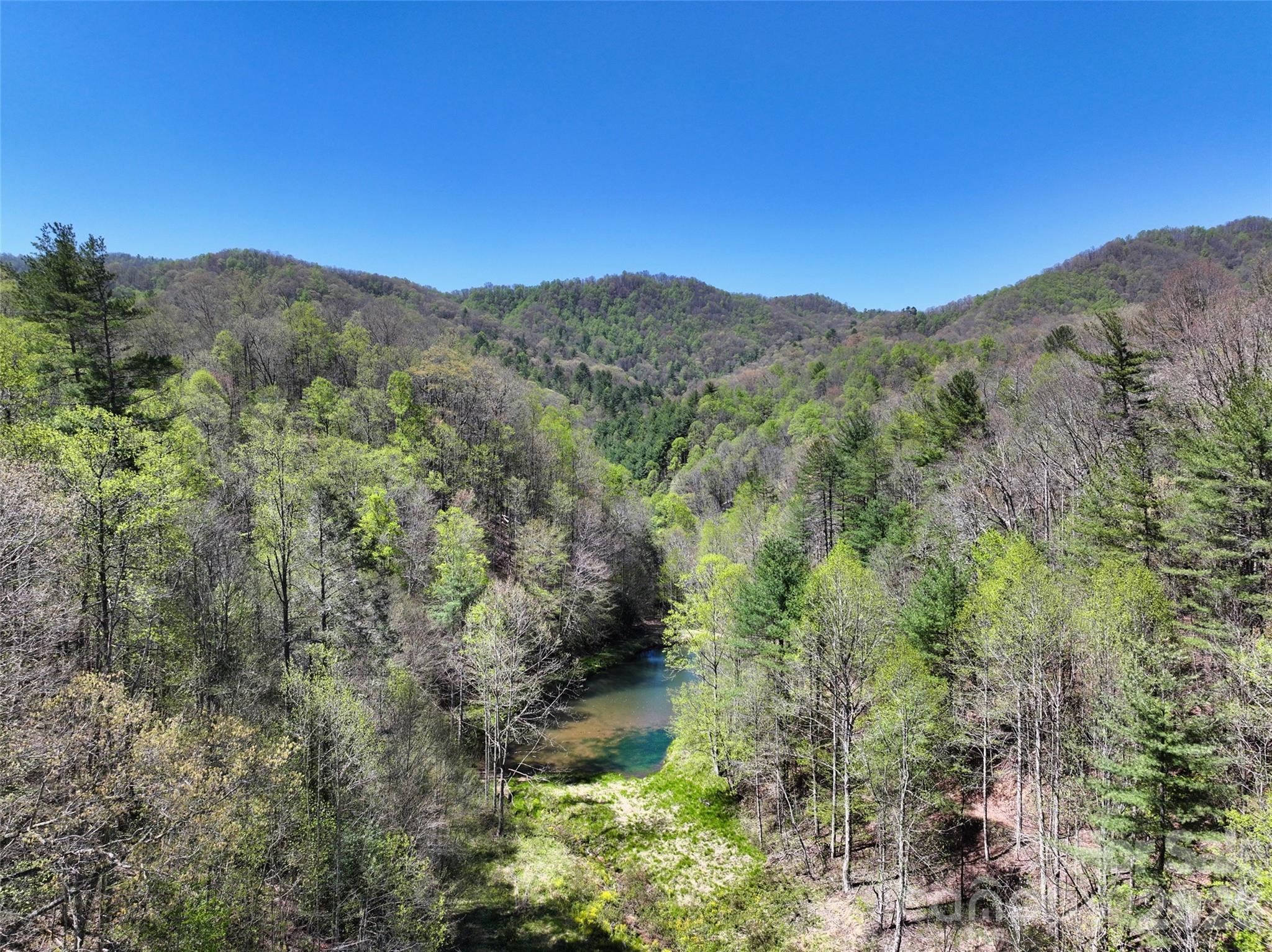 Spring-fed pond from hidden meadow - 2180 Pigeon Roost Road, Green Mountain