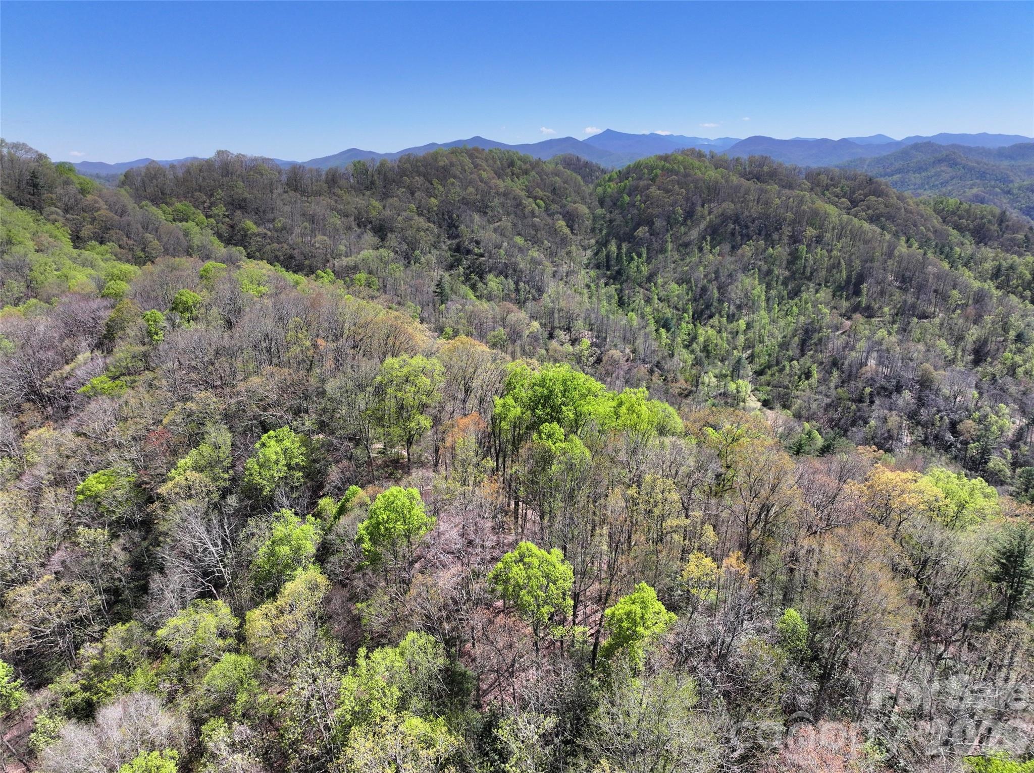 Lovely ridgetop land surrounding the hidden meadow - 2180 Pigeon Roost Road, Green Mountain