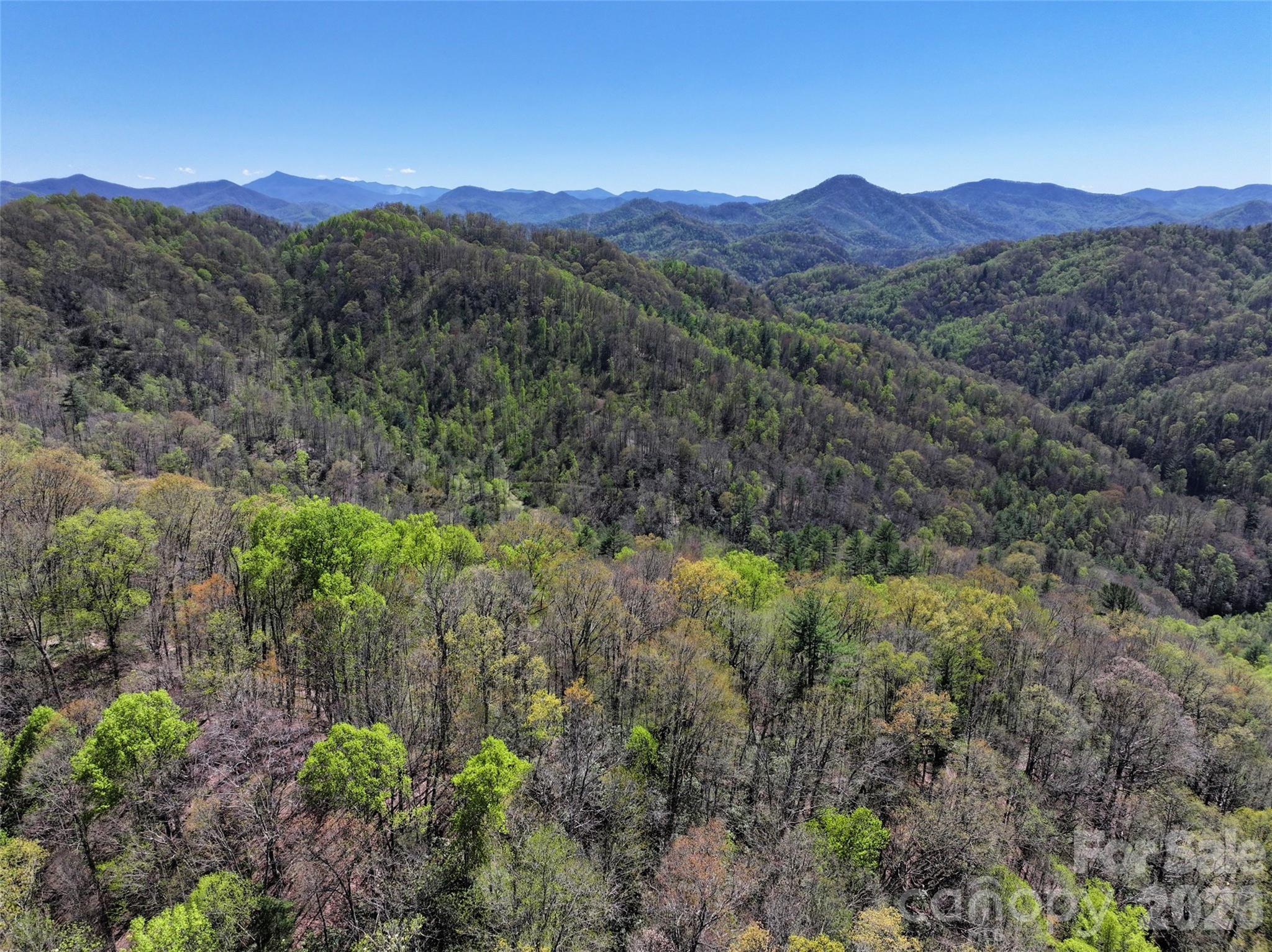 The views go forever from up here - 2180 Pigeon Roost Road, Green Mountain