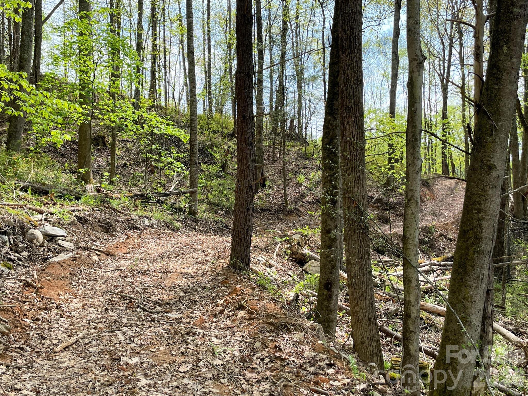 One of several newly groomed interior ATV trails - 2180 Pigeon Roost Road, Green Mountain