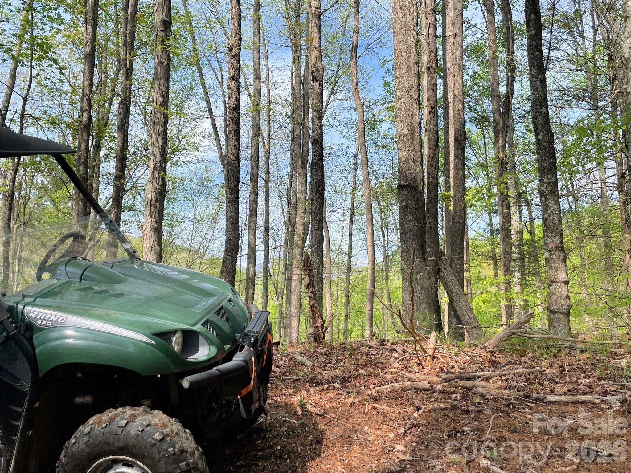 Gorgeous ridgeline views from up here! - 2180 Pigeon Roost Road, Green Mountain