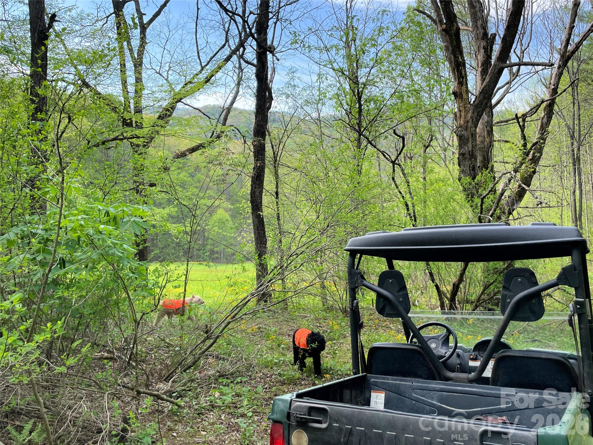 The new ATV trails connect with the hidden meadow - 2180 Pigeon Roost Road, Green Mountain