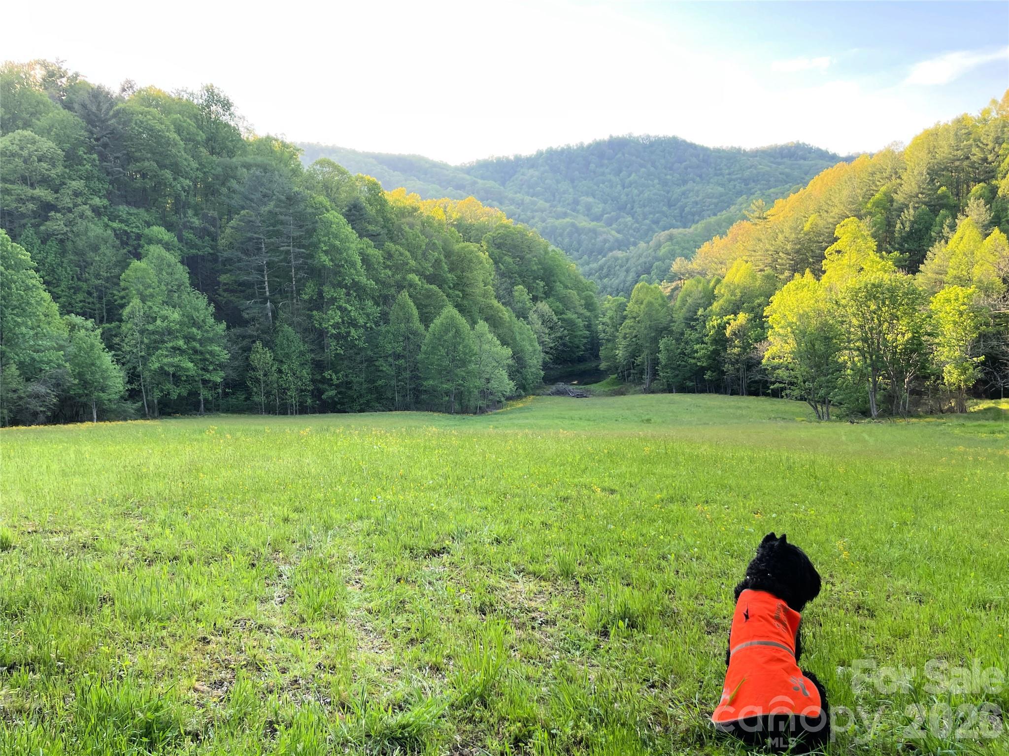 Serenity - 2180 Pigeon Roost Road, Green Mountain