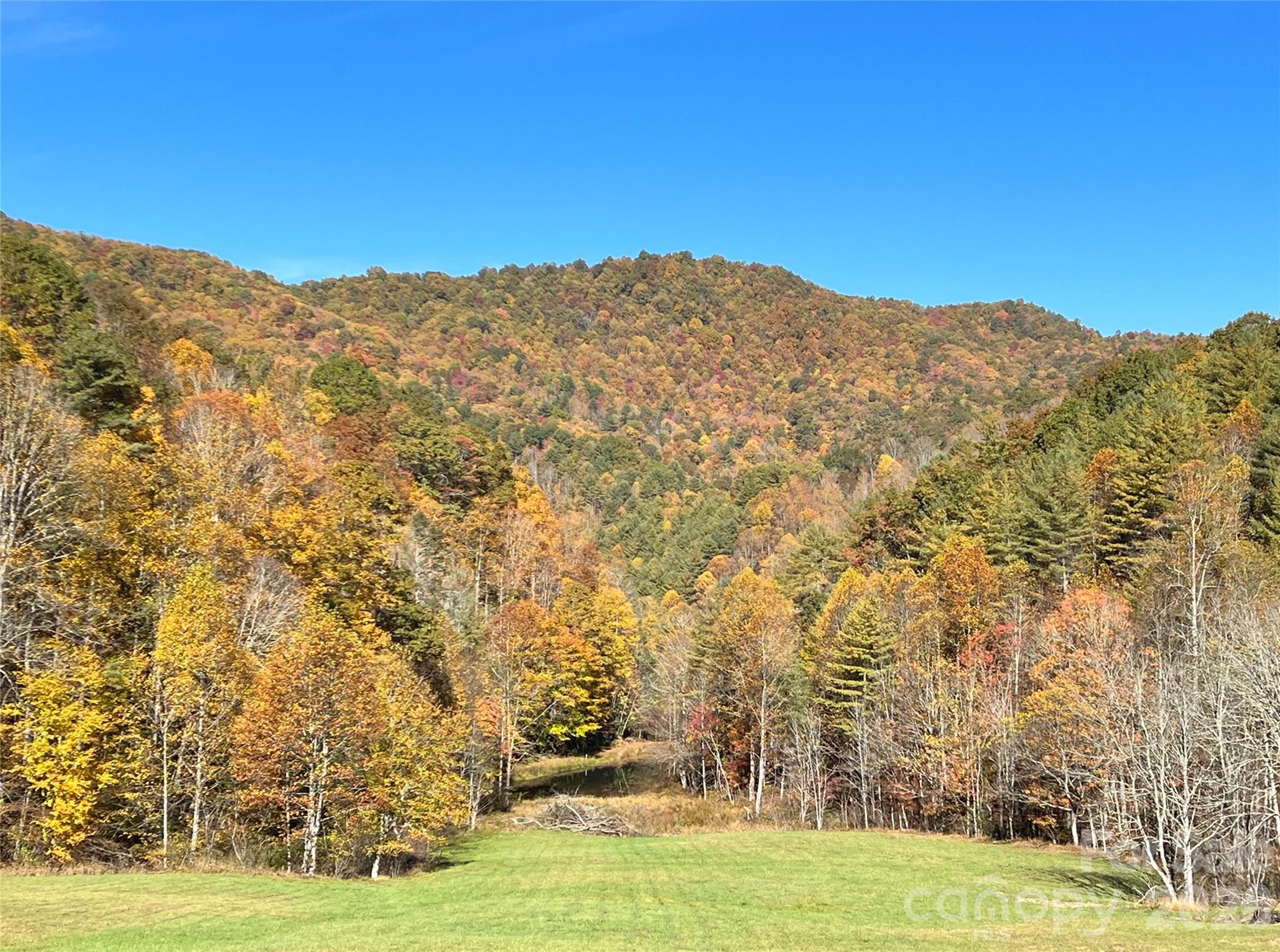 Autumn from the great homesite in the hidden meadow - 2180 Pigeon Roost Road, Green Mountain