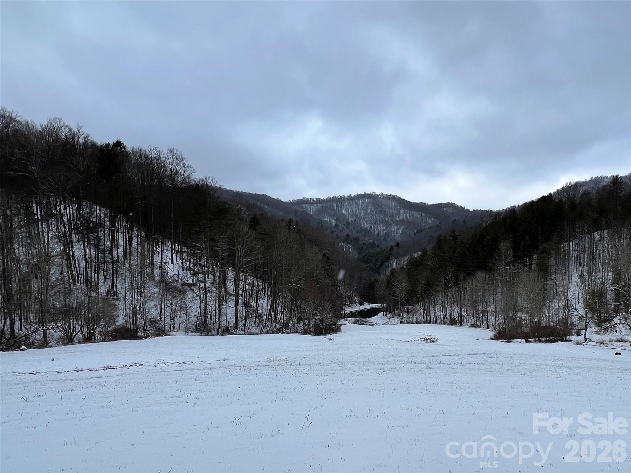 Winter view from the great homesite - 2180 Pigeon Roost Road, Green Mountain