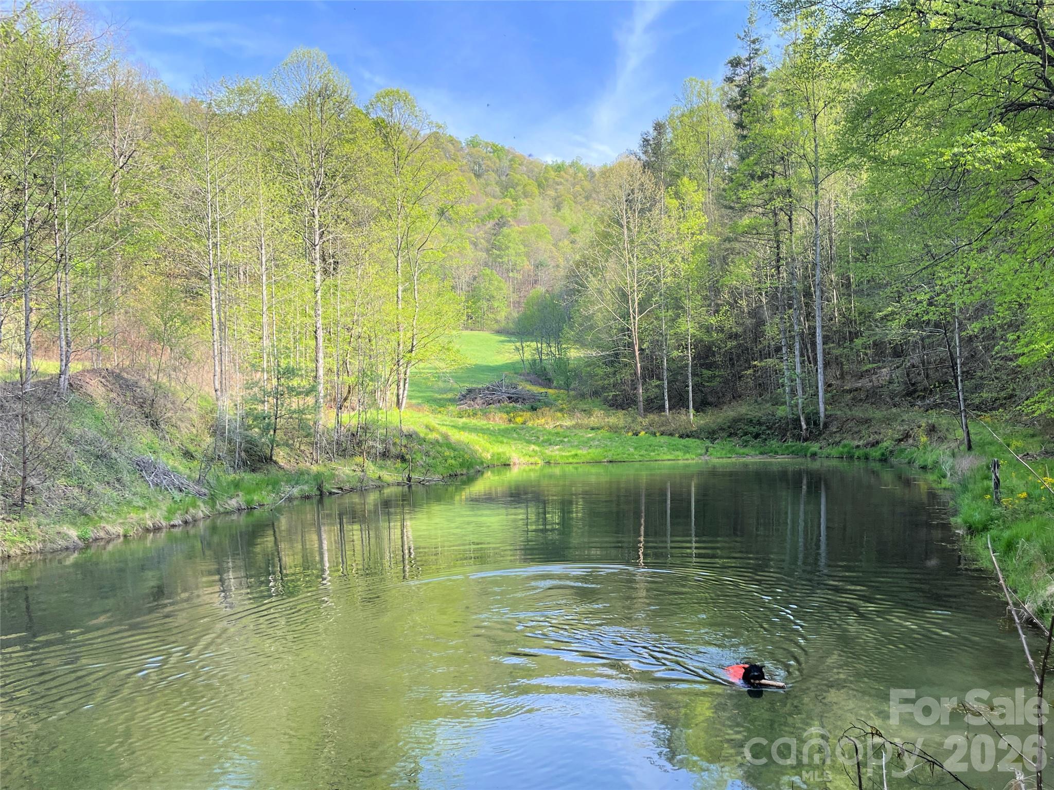 The best place ever for a game of "fetch the stick" - 2180 Pigeon Roost Road, Green Mountain
