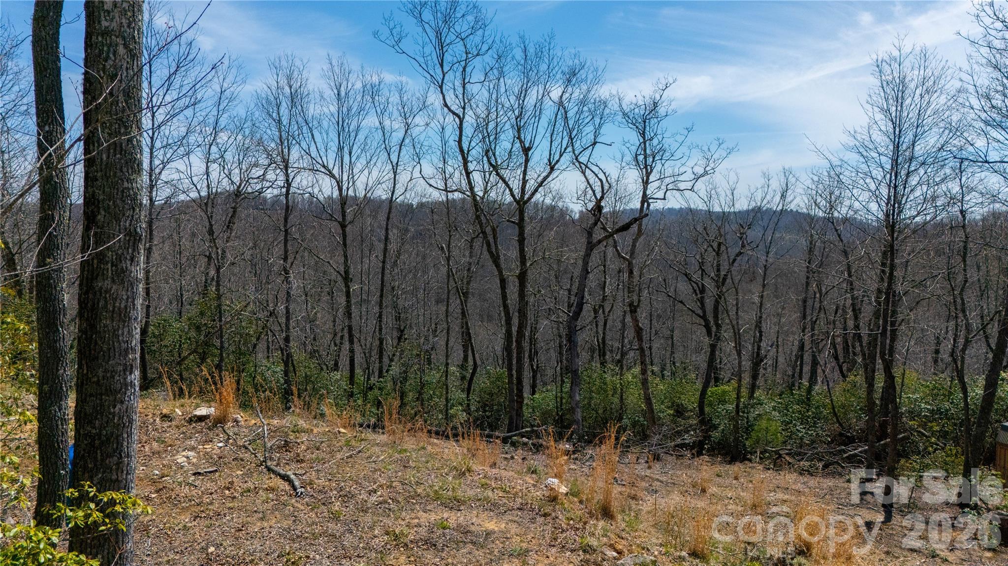 Lot at 000 Walker Ridge, Spruce Pine, photo 4 of 8