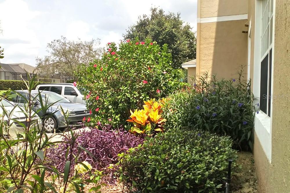 Condominium at 2307 BUTTERFLY PALM WAY #102, KISSIMMEE, photo 7 of 35