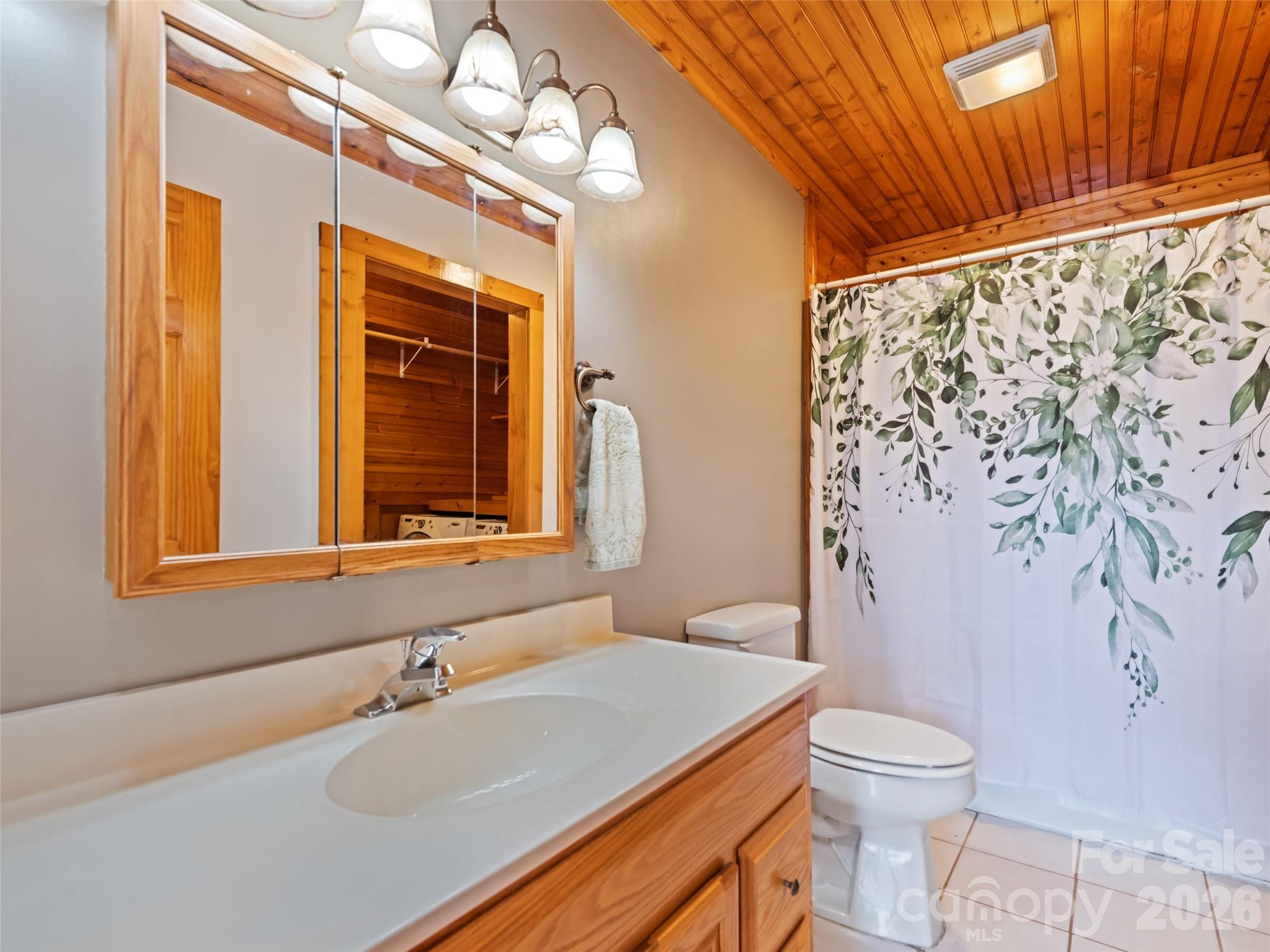 Primary En Suite Bathroom - 401 Tipstill Cove, Waynesville