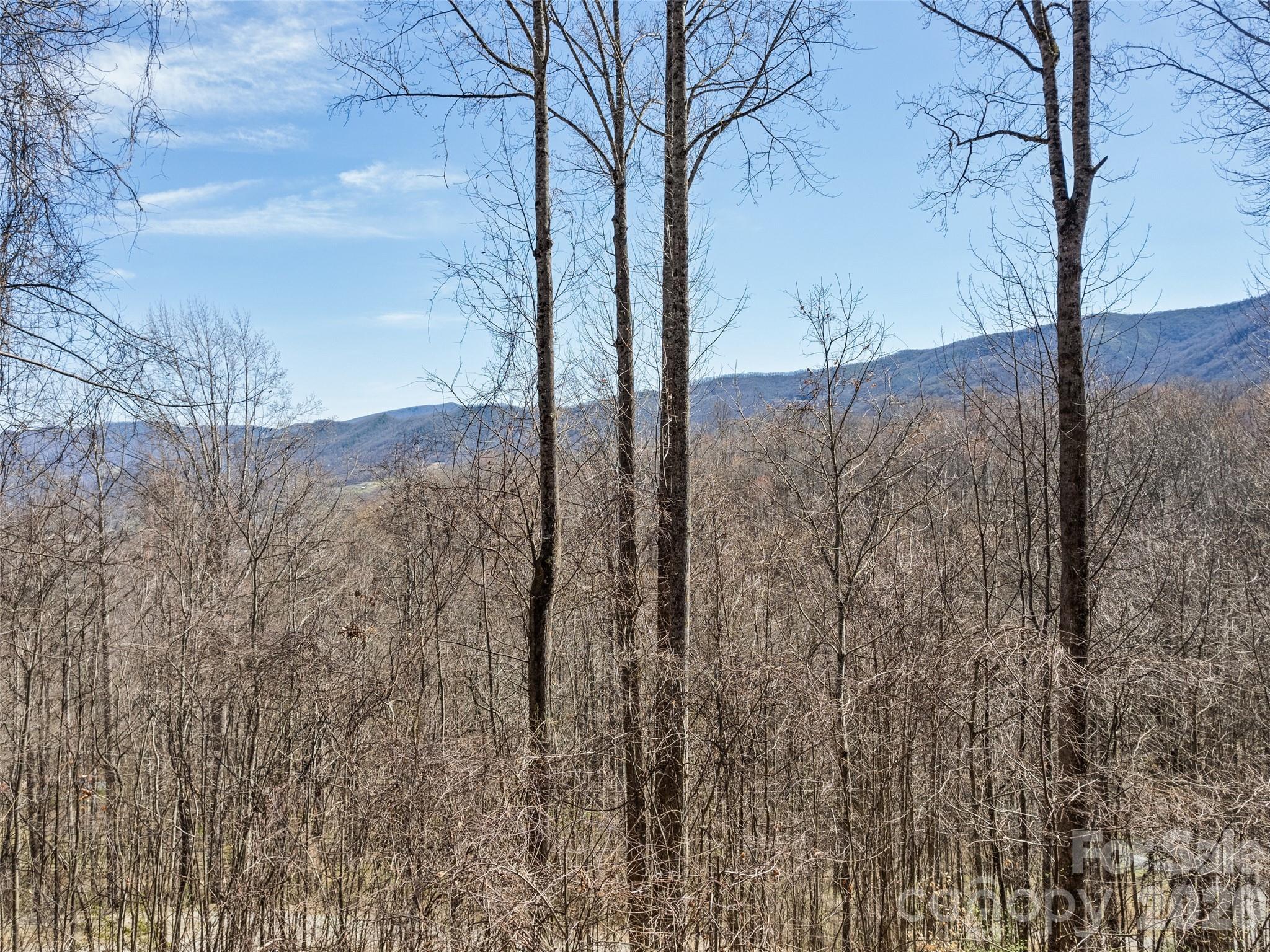 Single Family Residence at 401 Tipstill Cove, Waynesville, photo 39 of 40