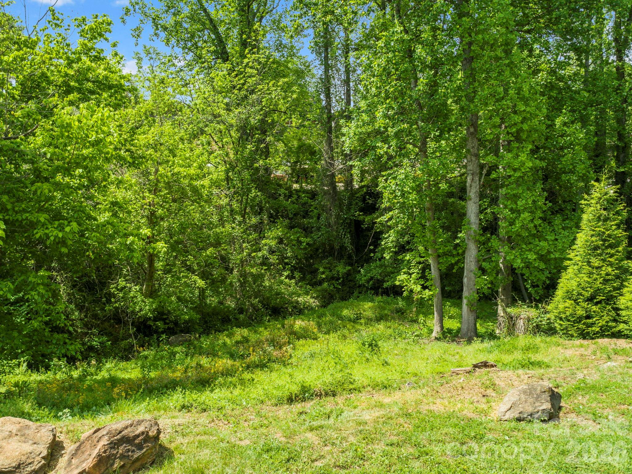 Lot at 9999 Euclid Boulevard, Asheville, photo 17 of 27
