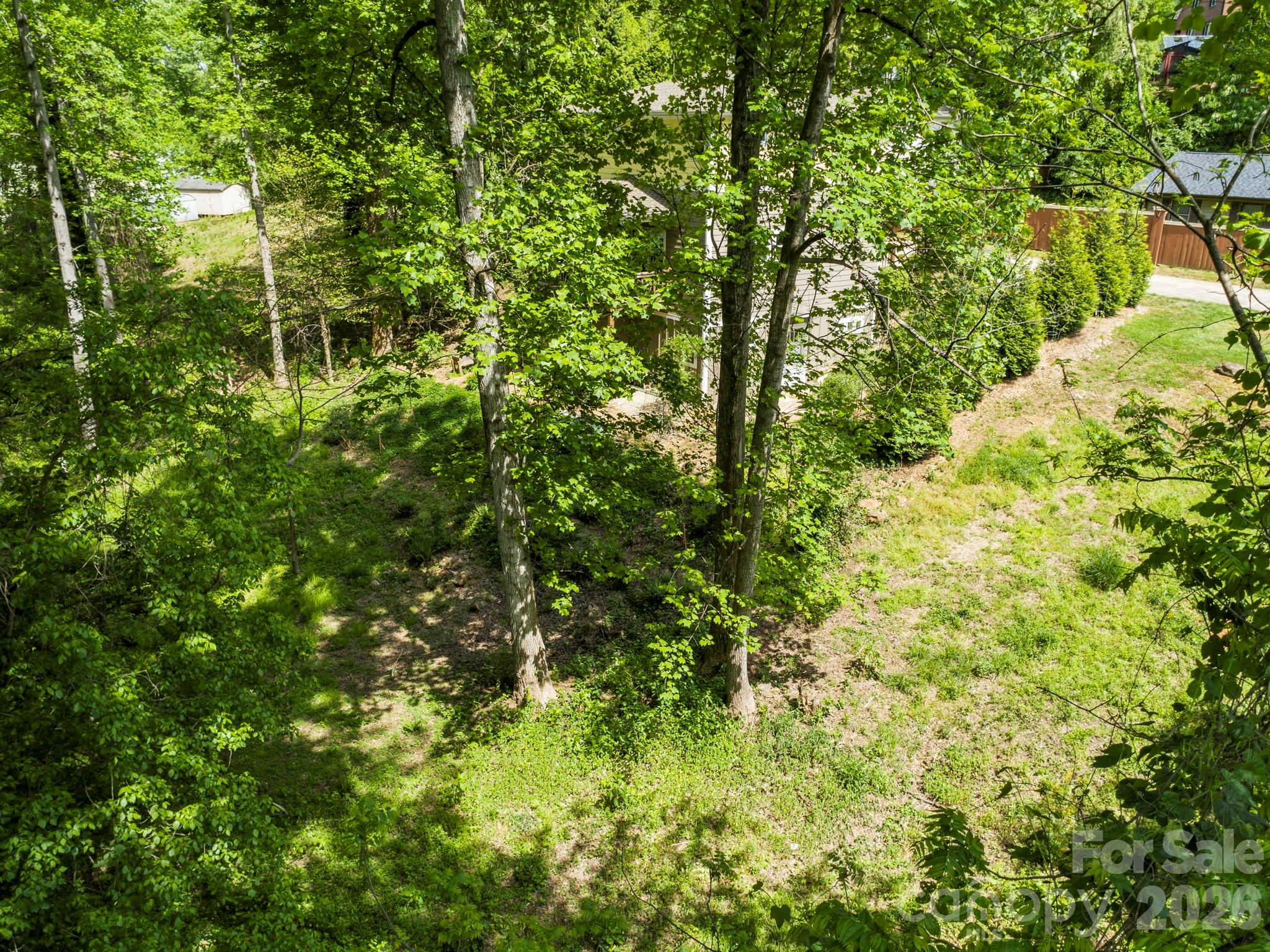 Lot at 9999 Euclid Boulevard, Asheville, photo 18 of 27