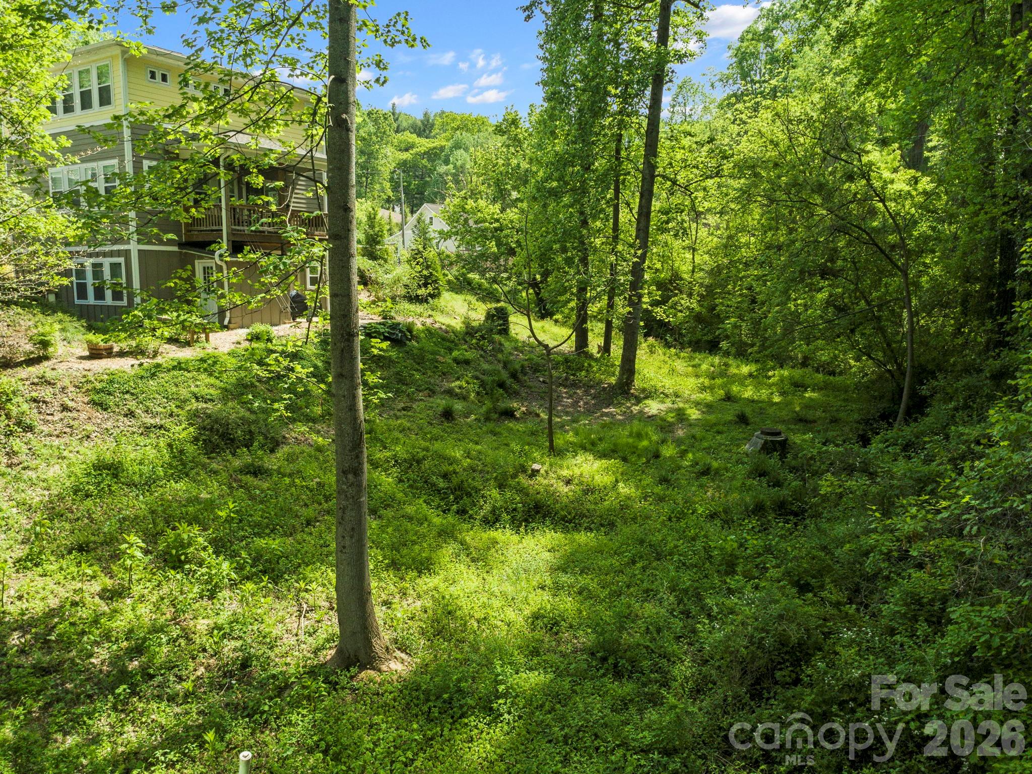 Lot at 9999 Euclid Boulevard, Asheville, photo 20 of 27